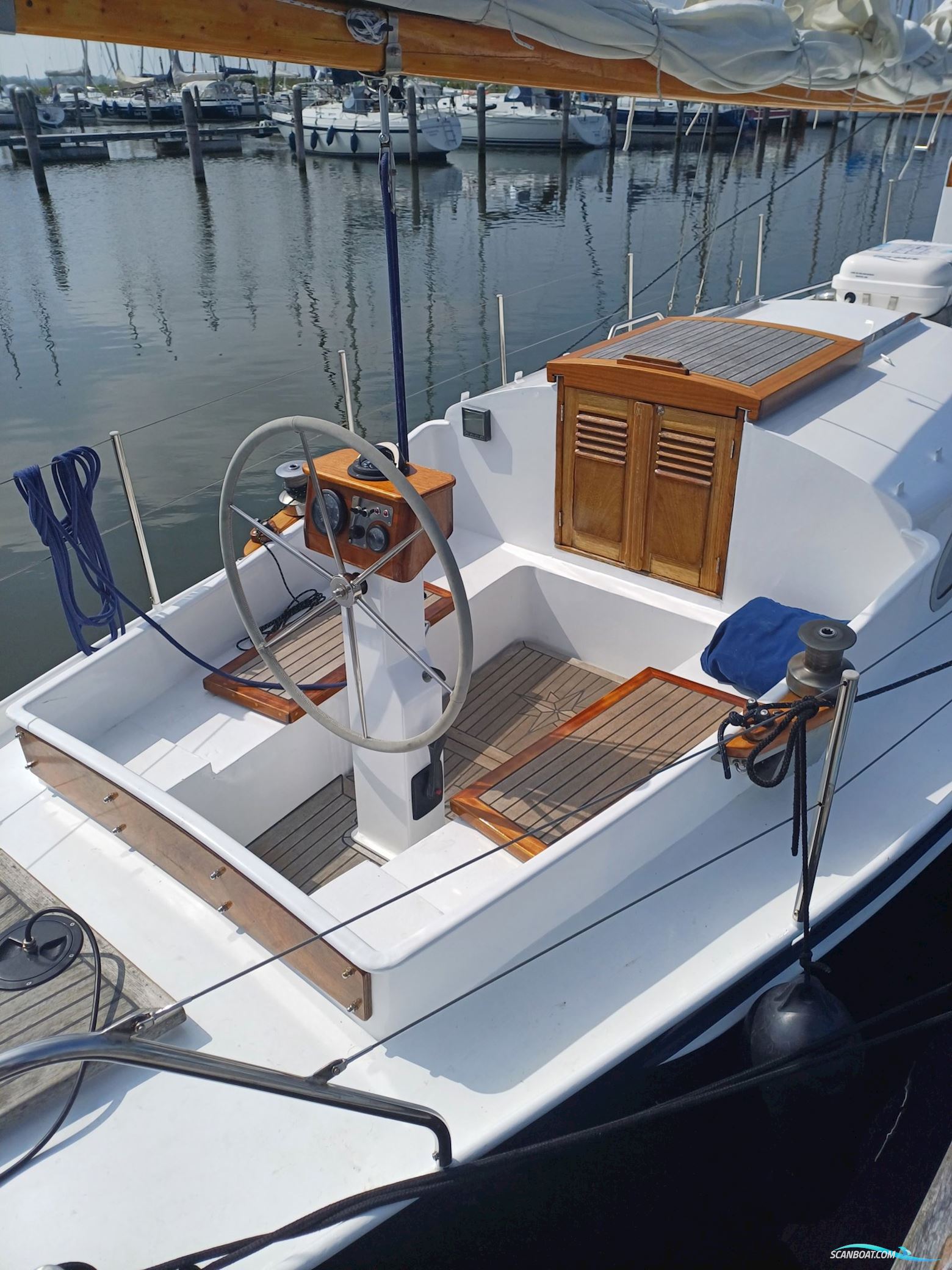 Moerman 29