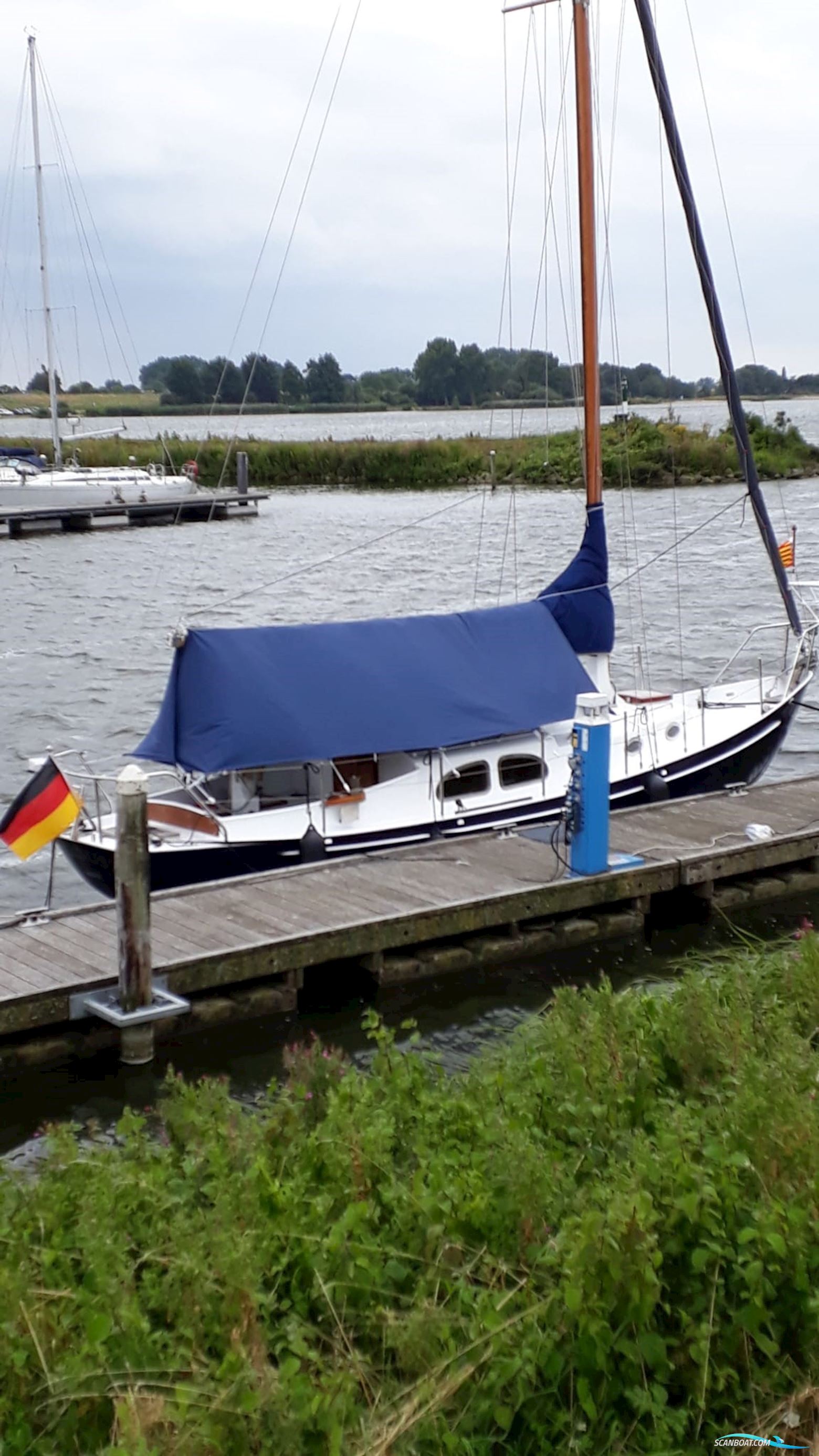 Moerman 29