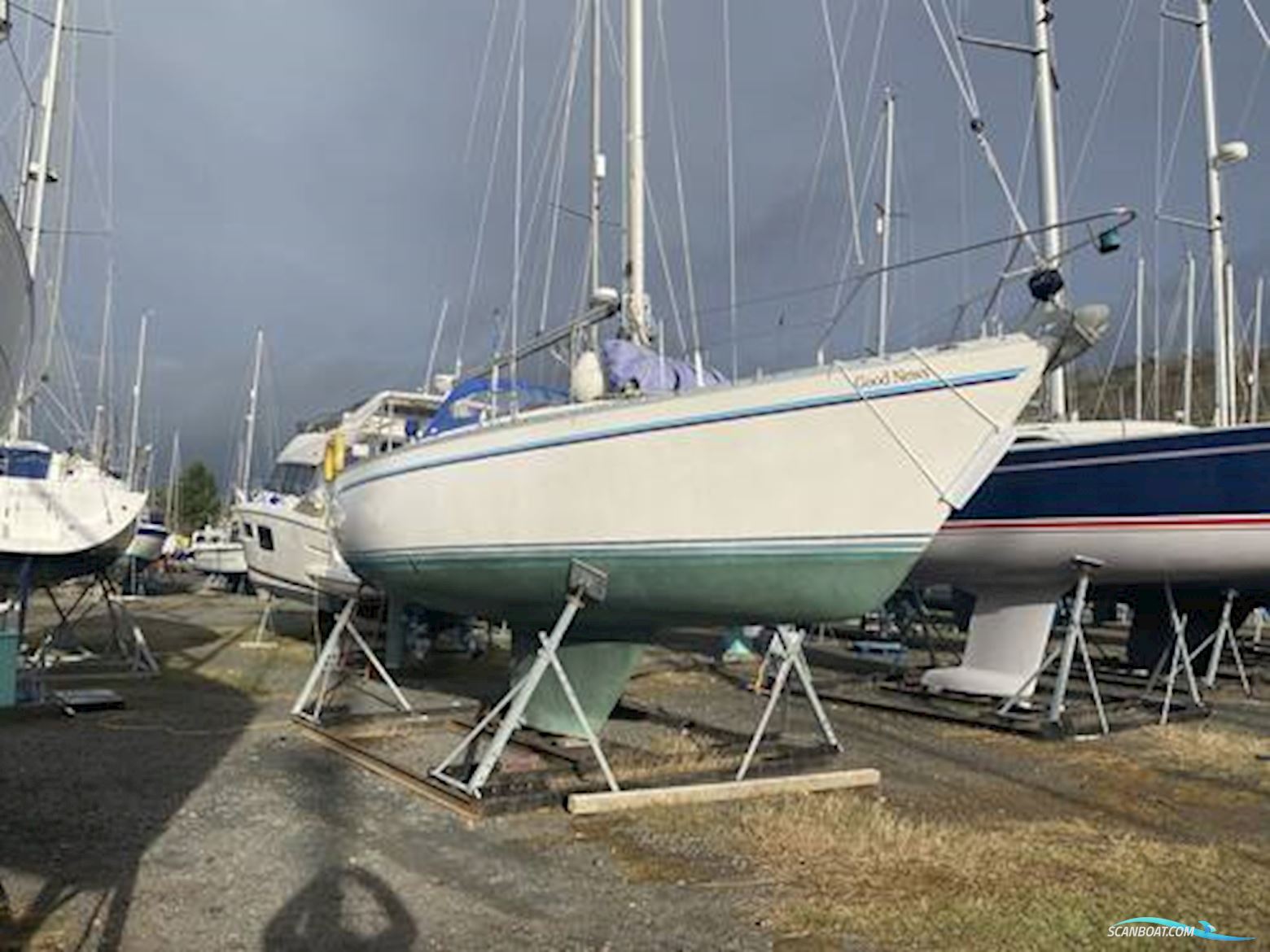 Moody 346