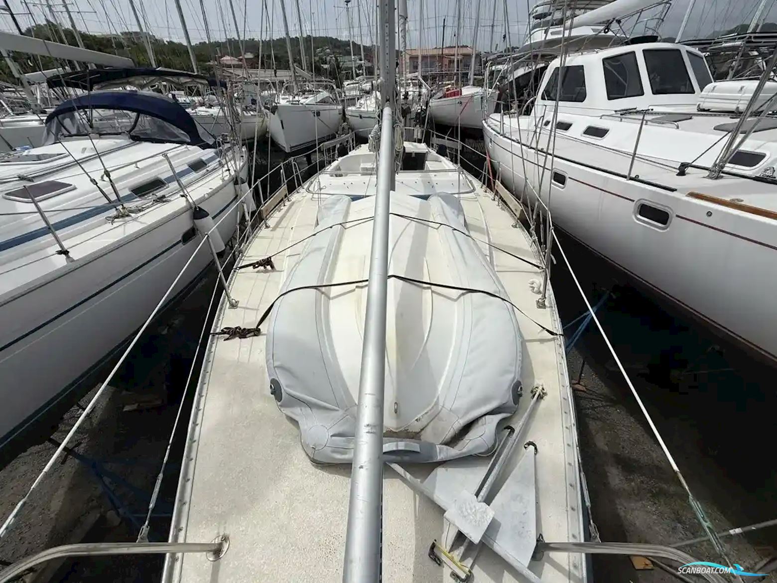 Morgan 41