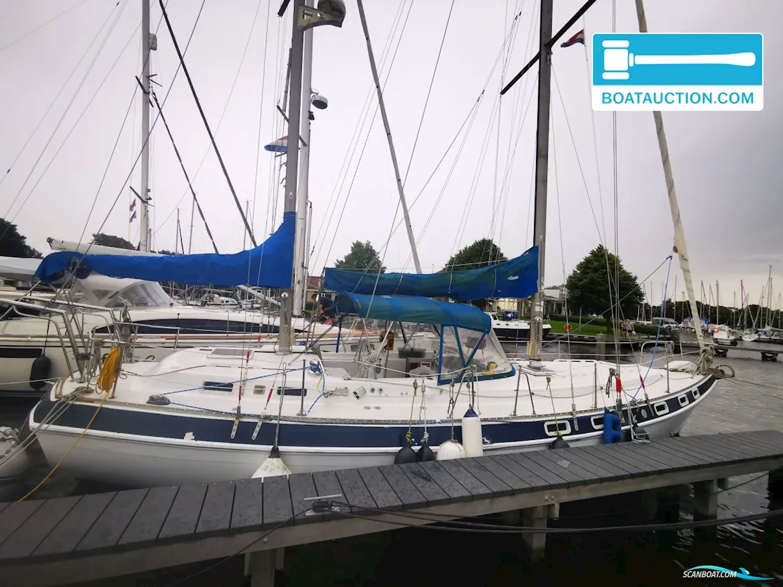 Morgan Out Island 41