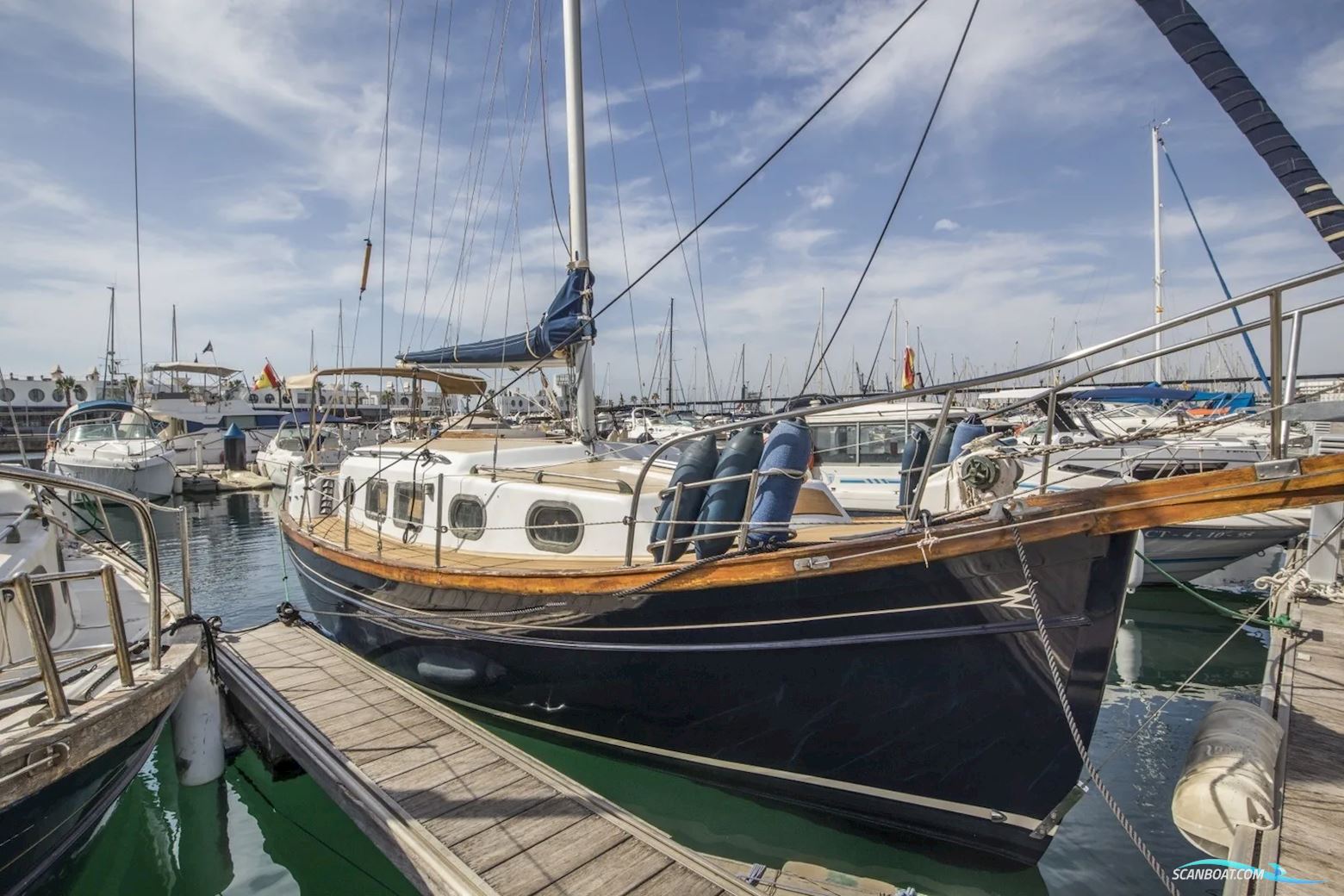 Myabca Delfin 31