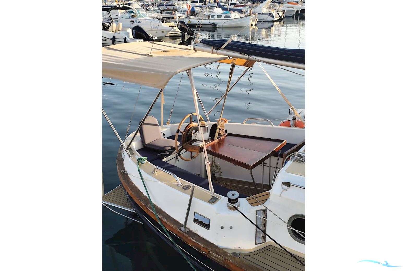 Myabca Delfin 31