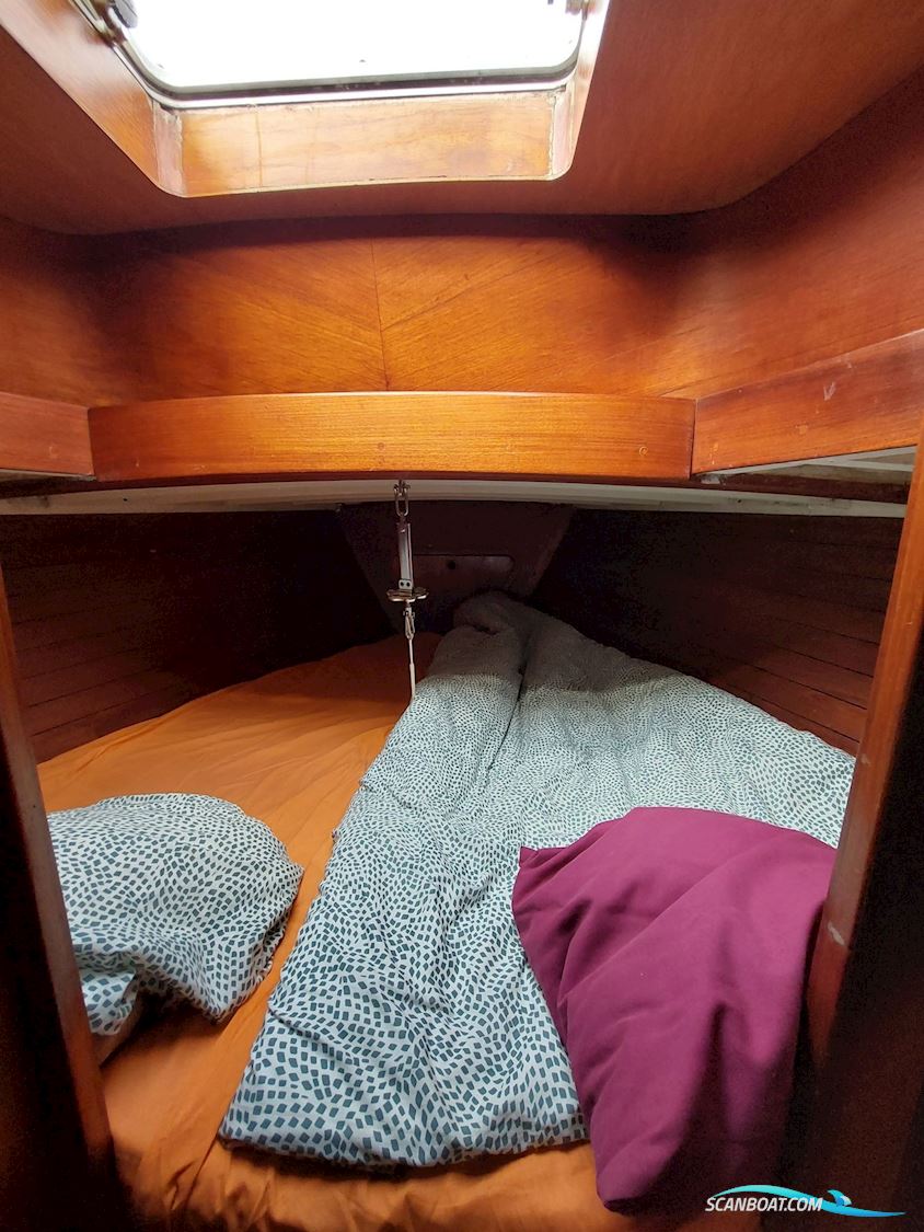 Narval 38 (One Tonner)