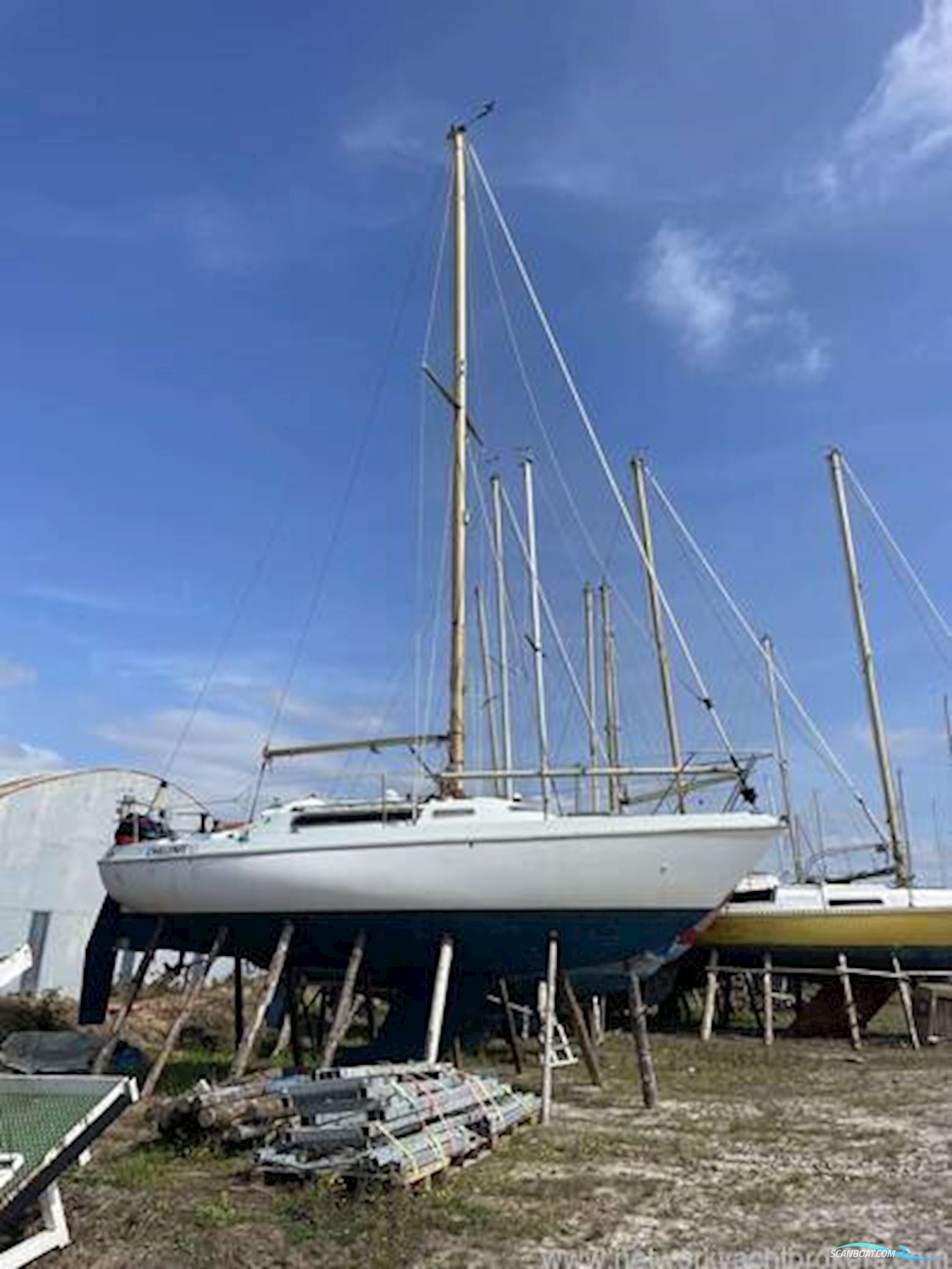 Nicholson 30