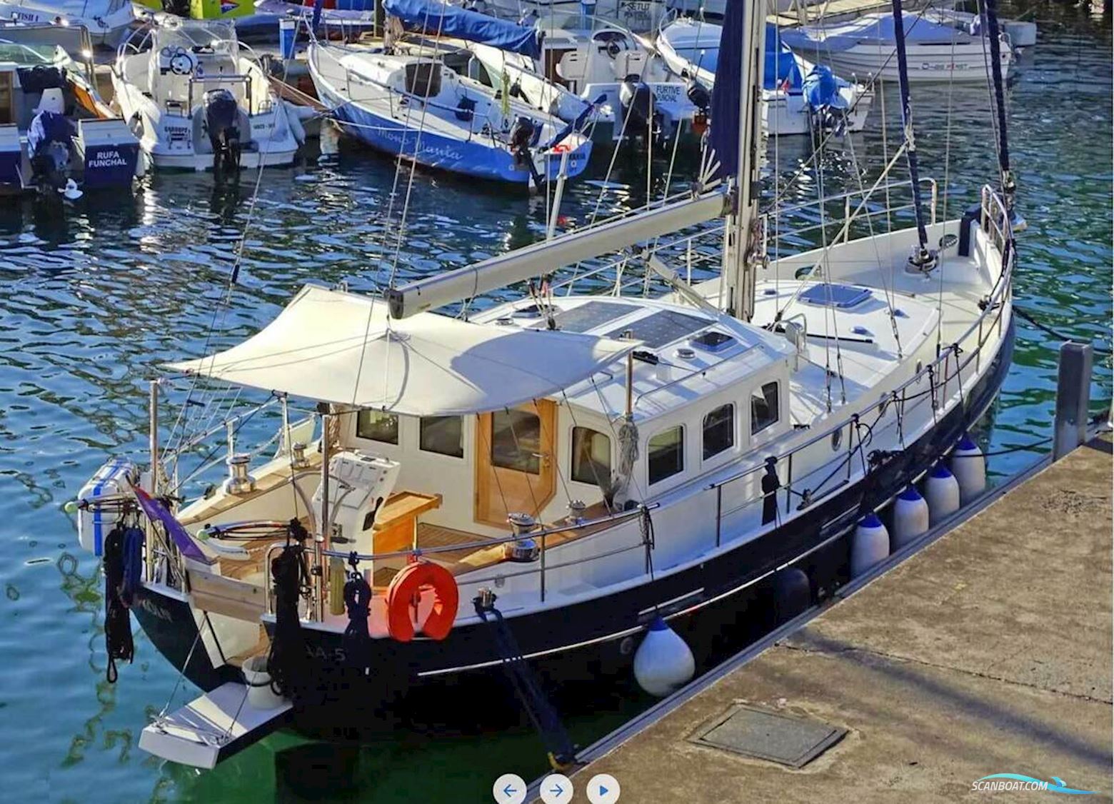 Noordkaper 40