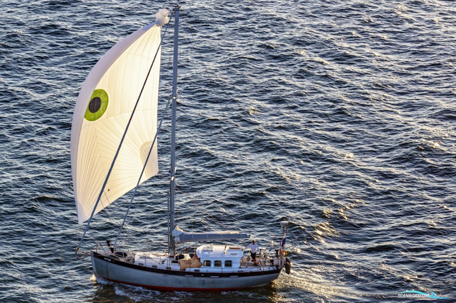 Noordkaper 43