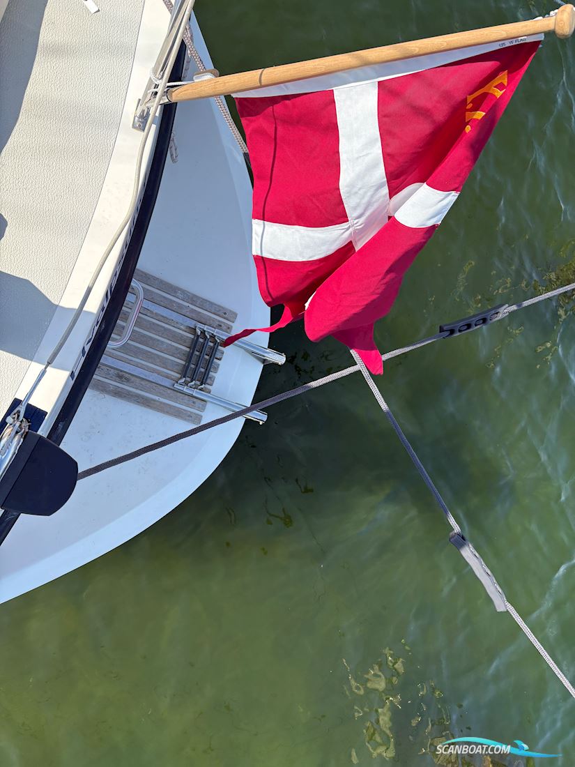 Nordship 29