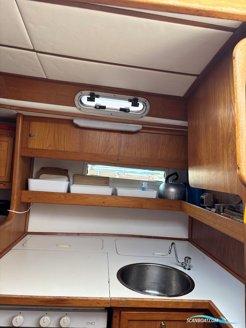 Nordship 29
