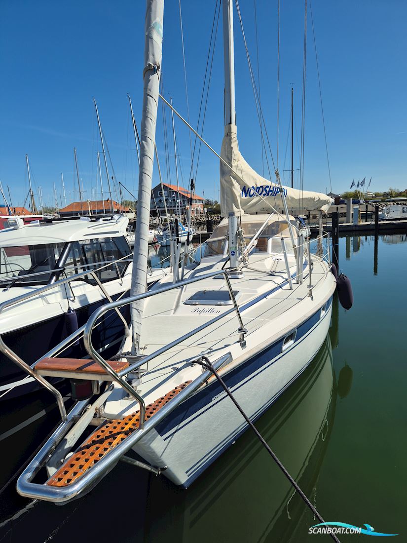 Nordship 31