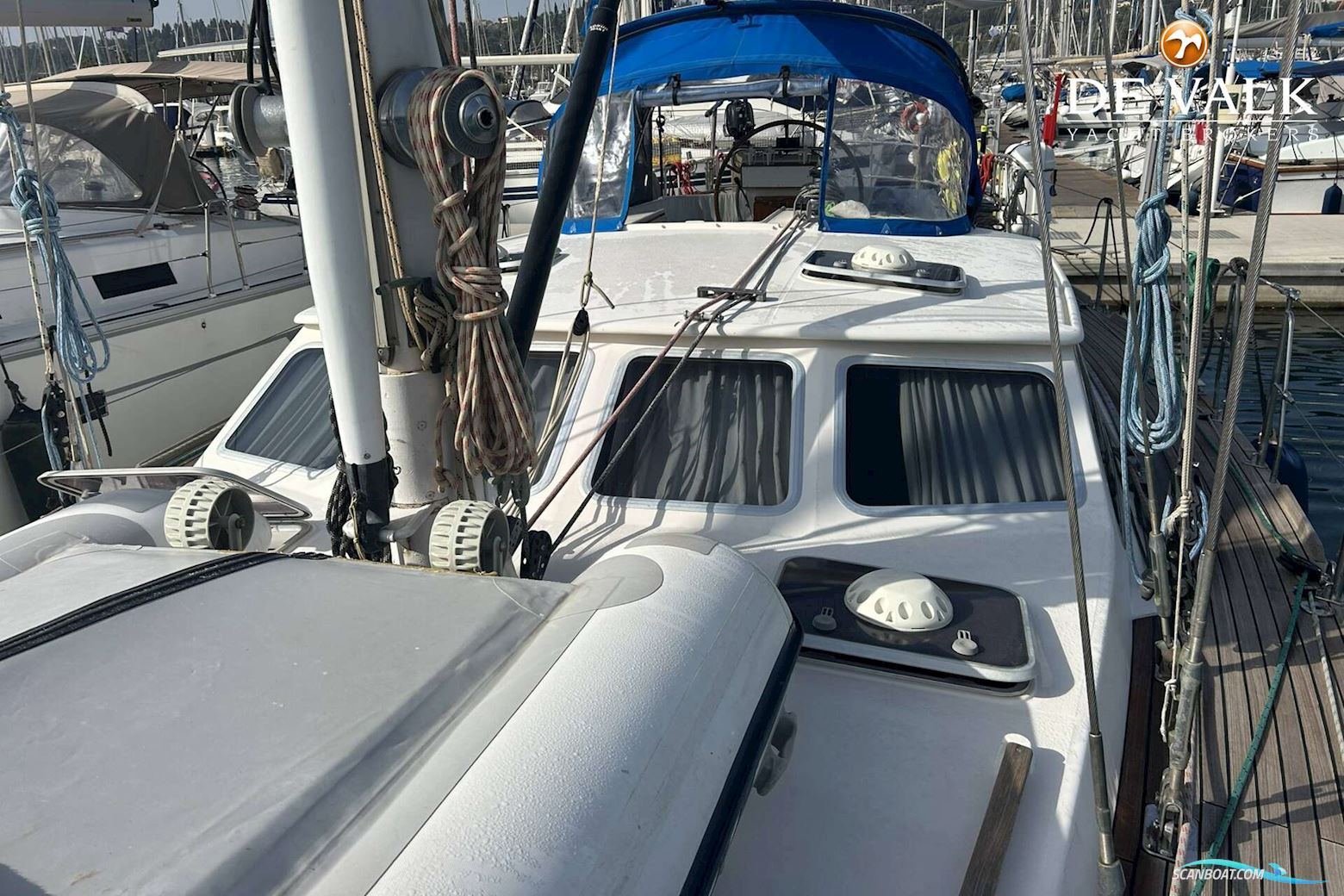 North Wind 50