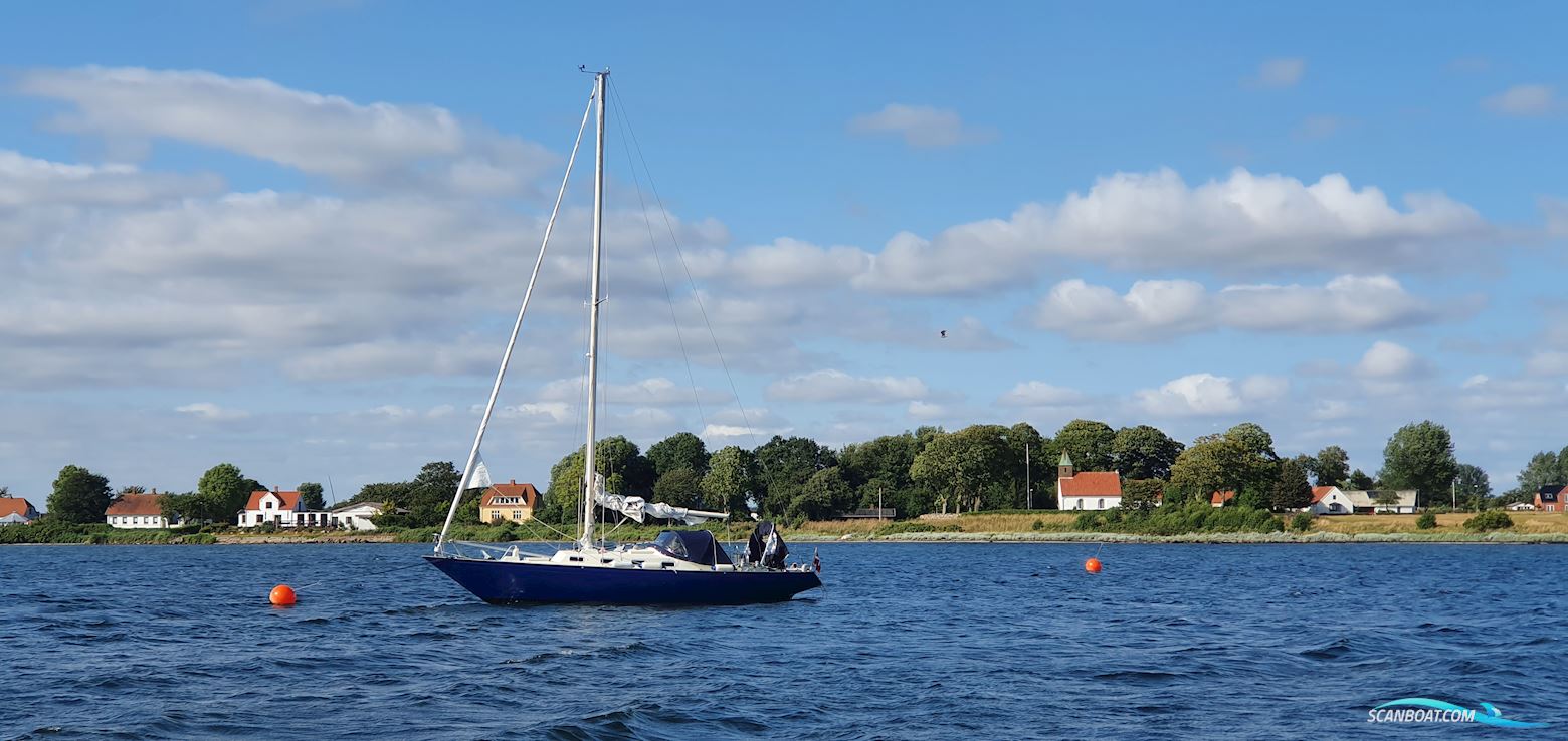 Oe36