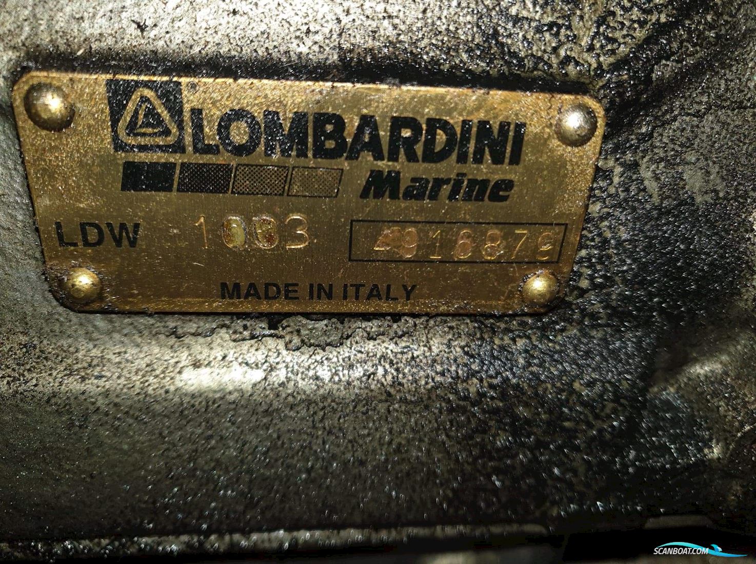 Oe36
