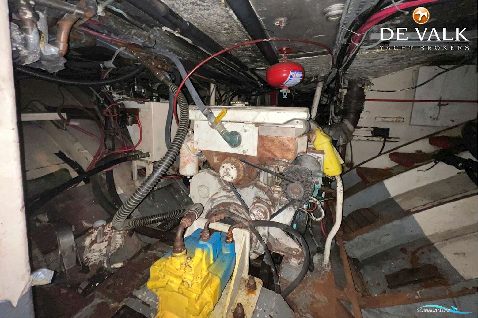 Olivier Van Meer 143 Zaca A Te Moana