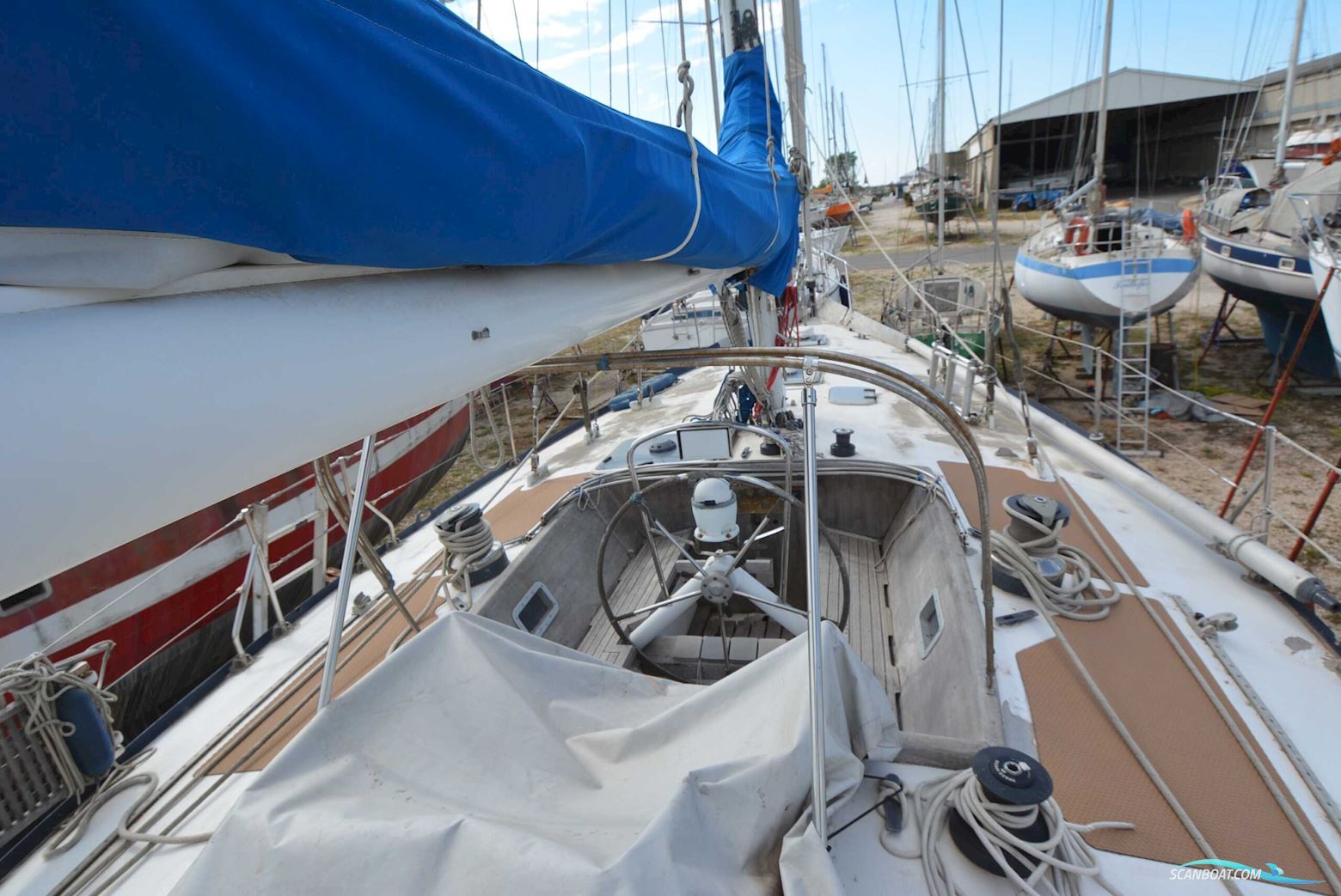 OMN DI COLAN MARCO REVE DES TROPÏQUES