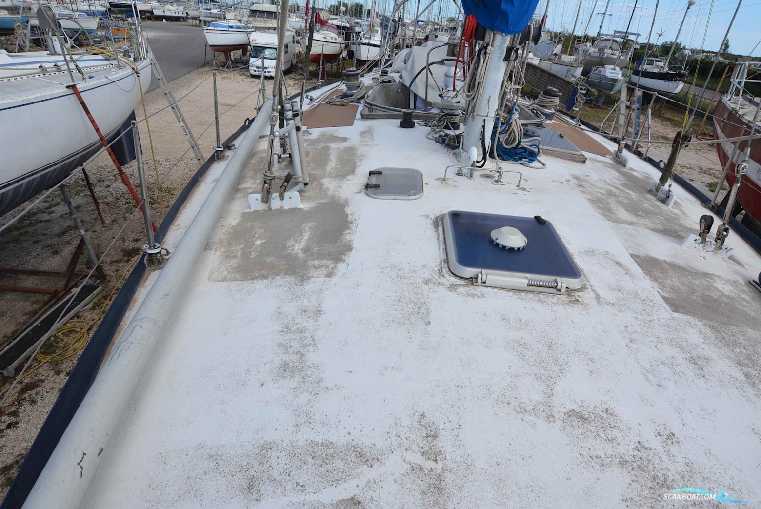 Omn DI Colan Marco Reve Des Tropïques