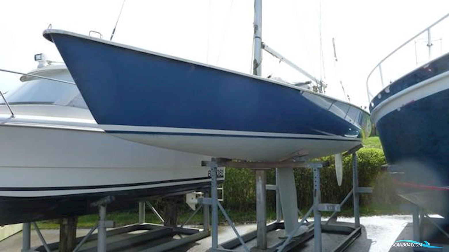 One Design 11 Meter