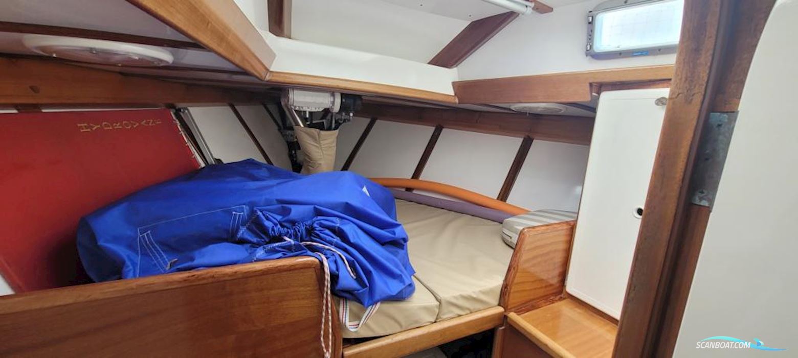 ONE OFF DESIGN Pamina 55