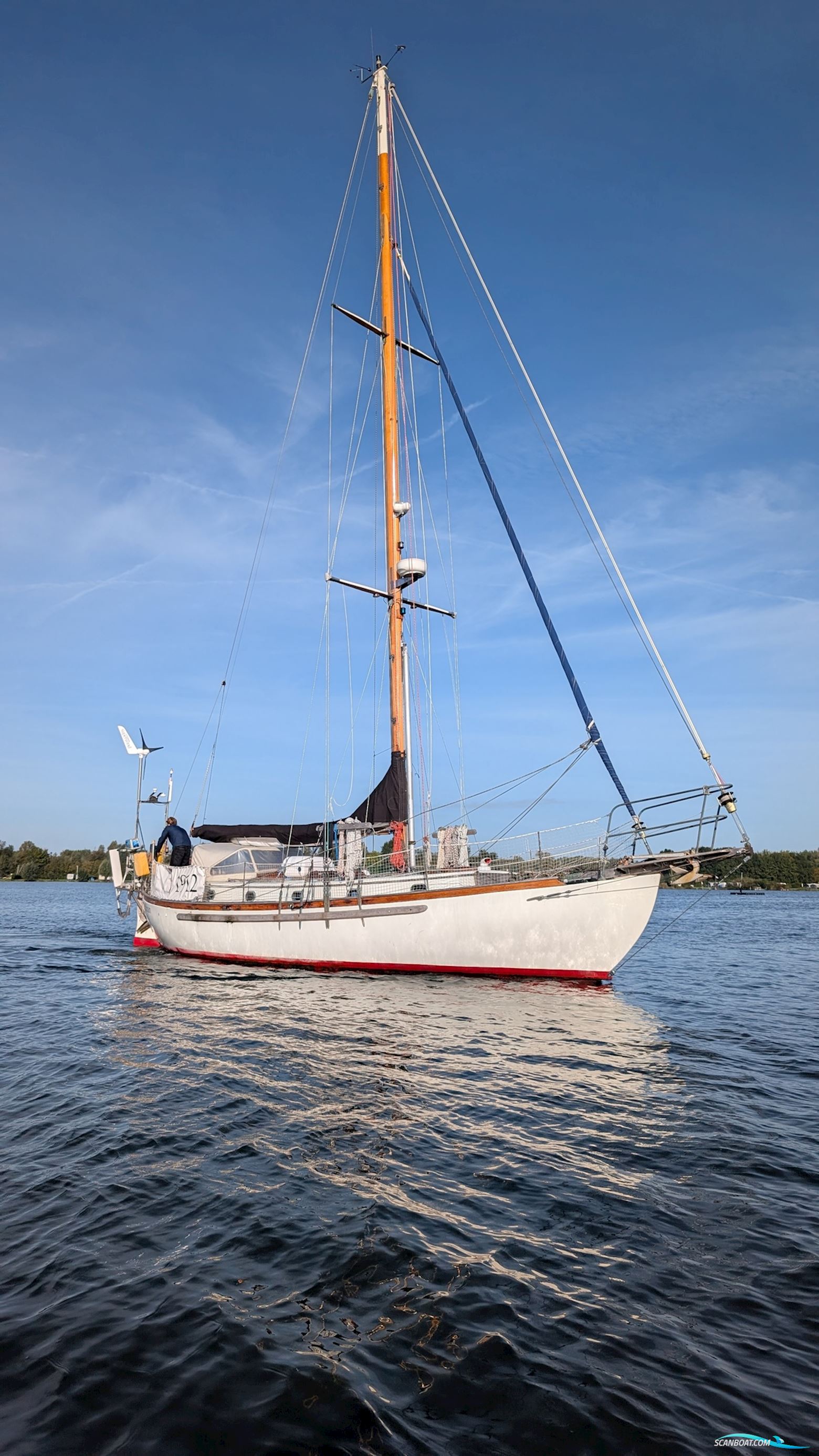 Orca 38