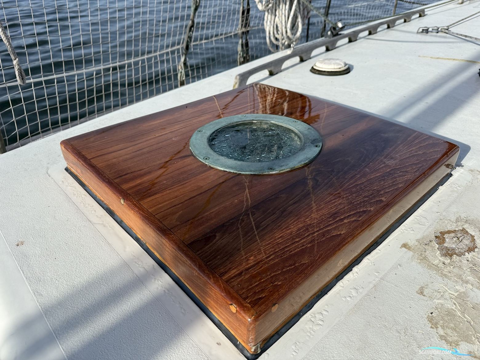 Orca 38