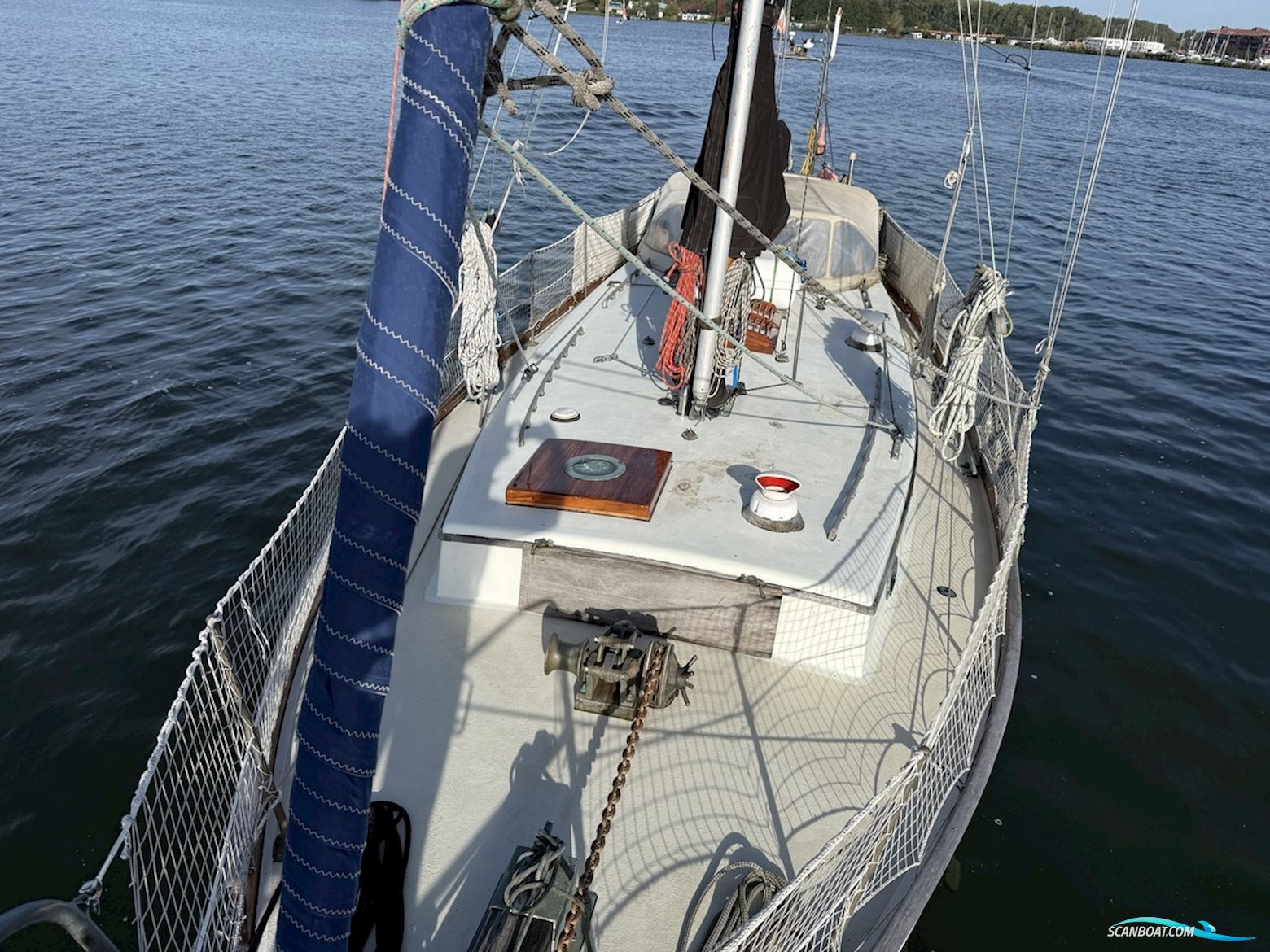 Orca 38