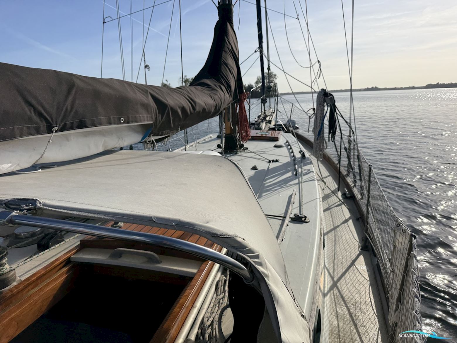 Orca 38