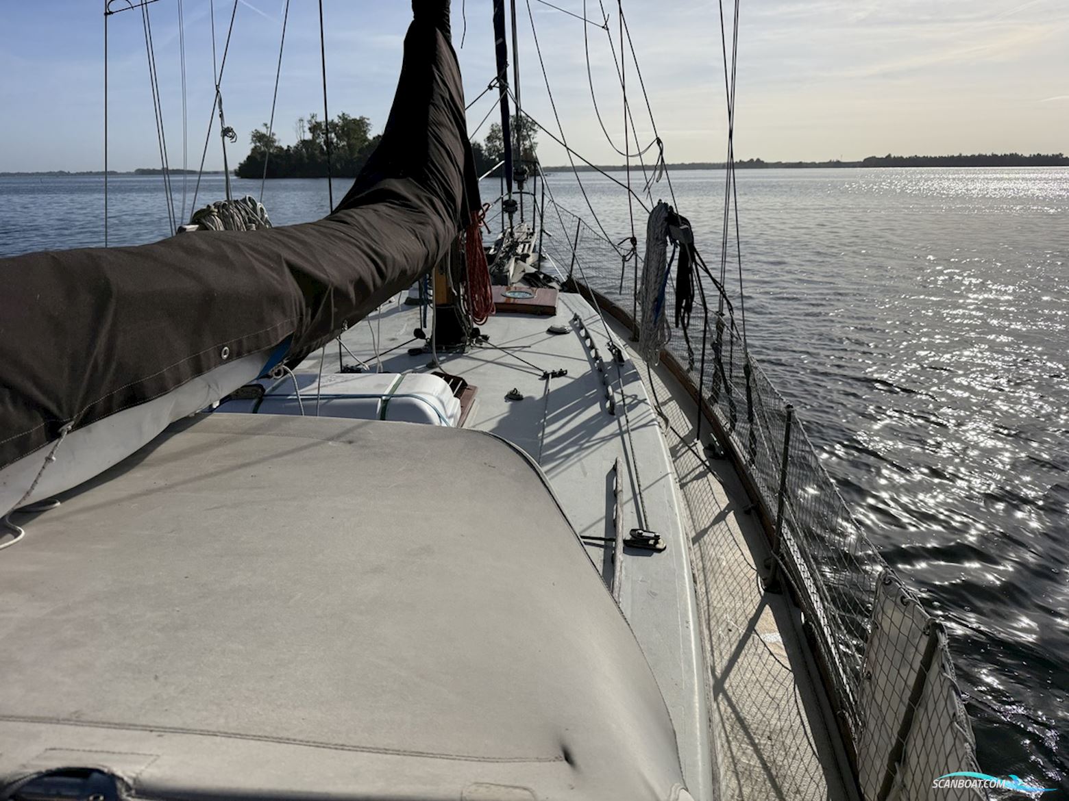 Orca 38