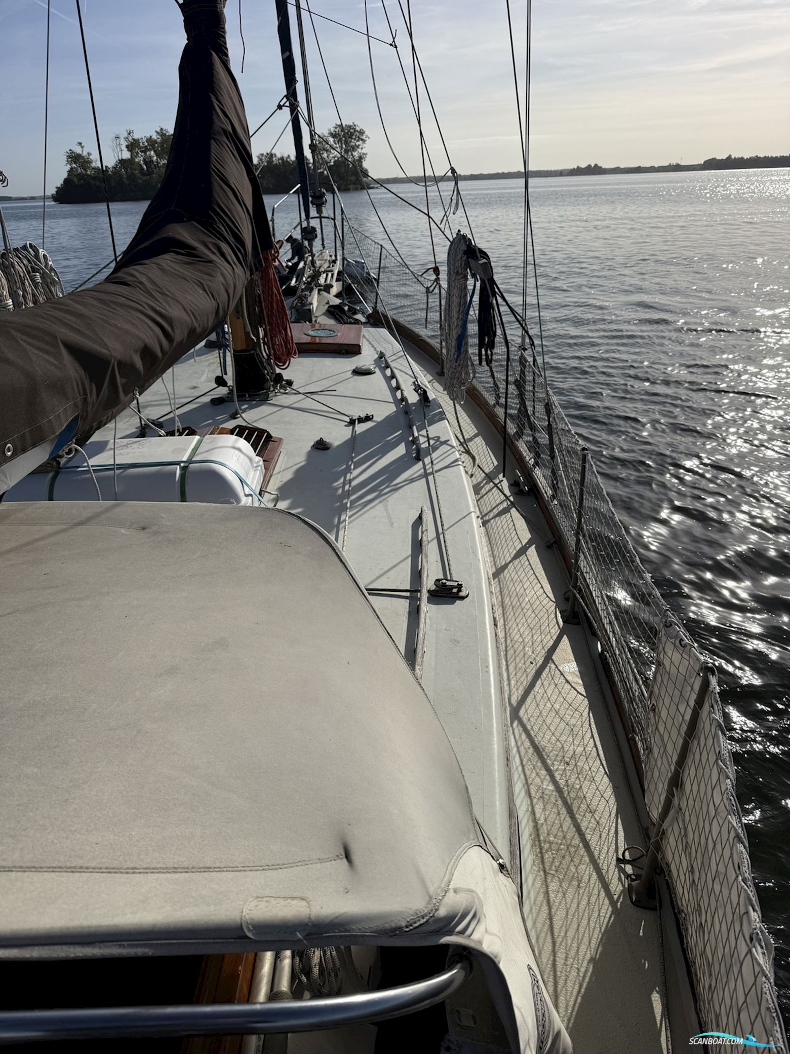 Orca 38