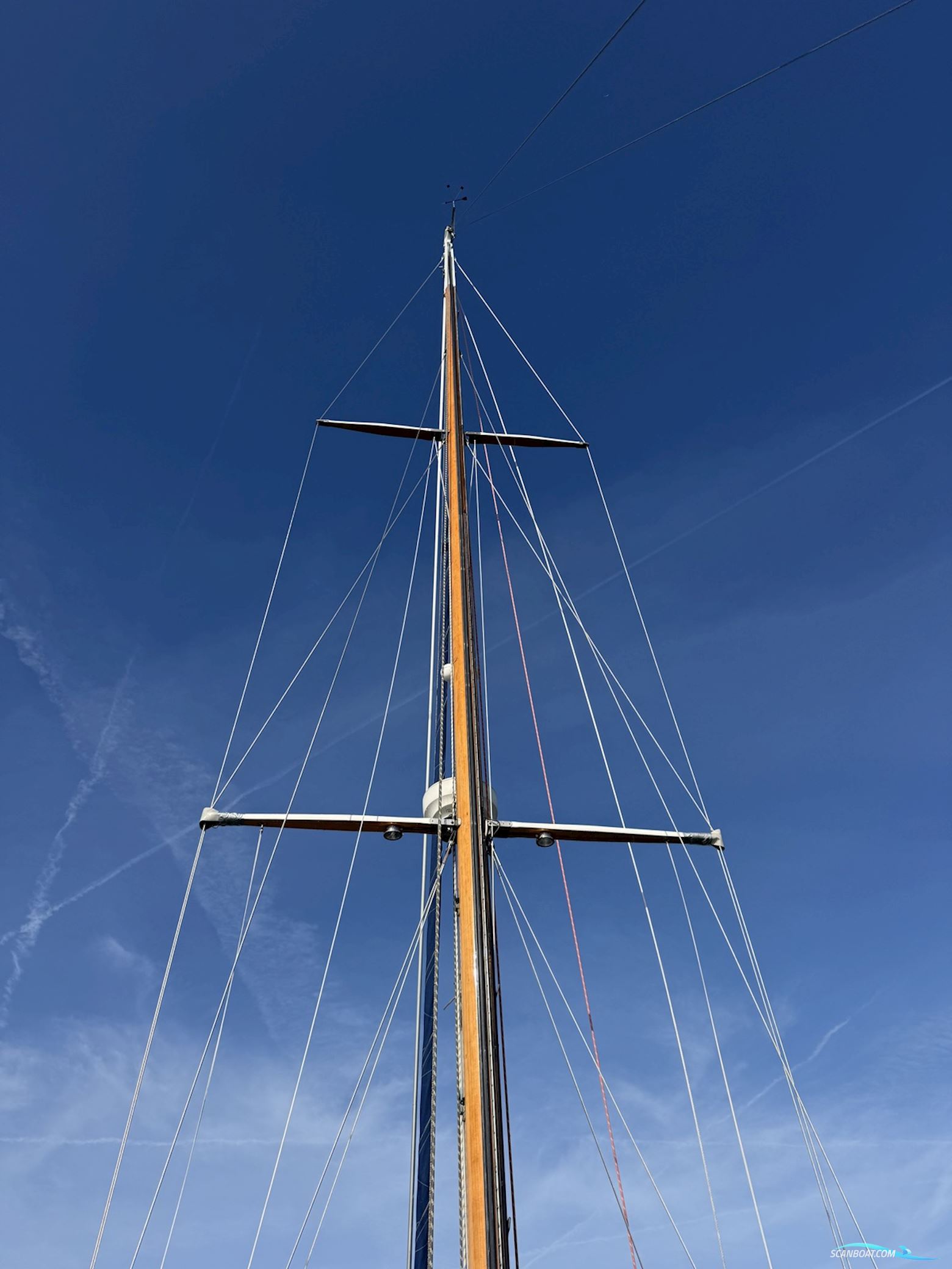 Orca 38