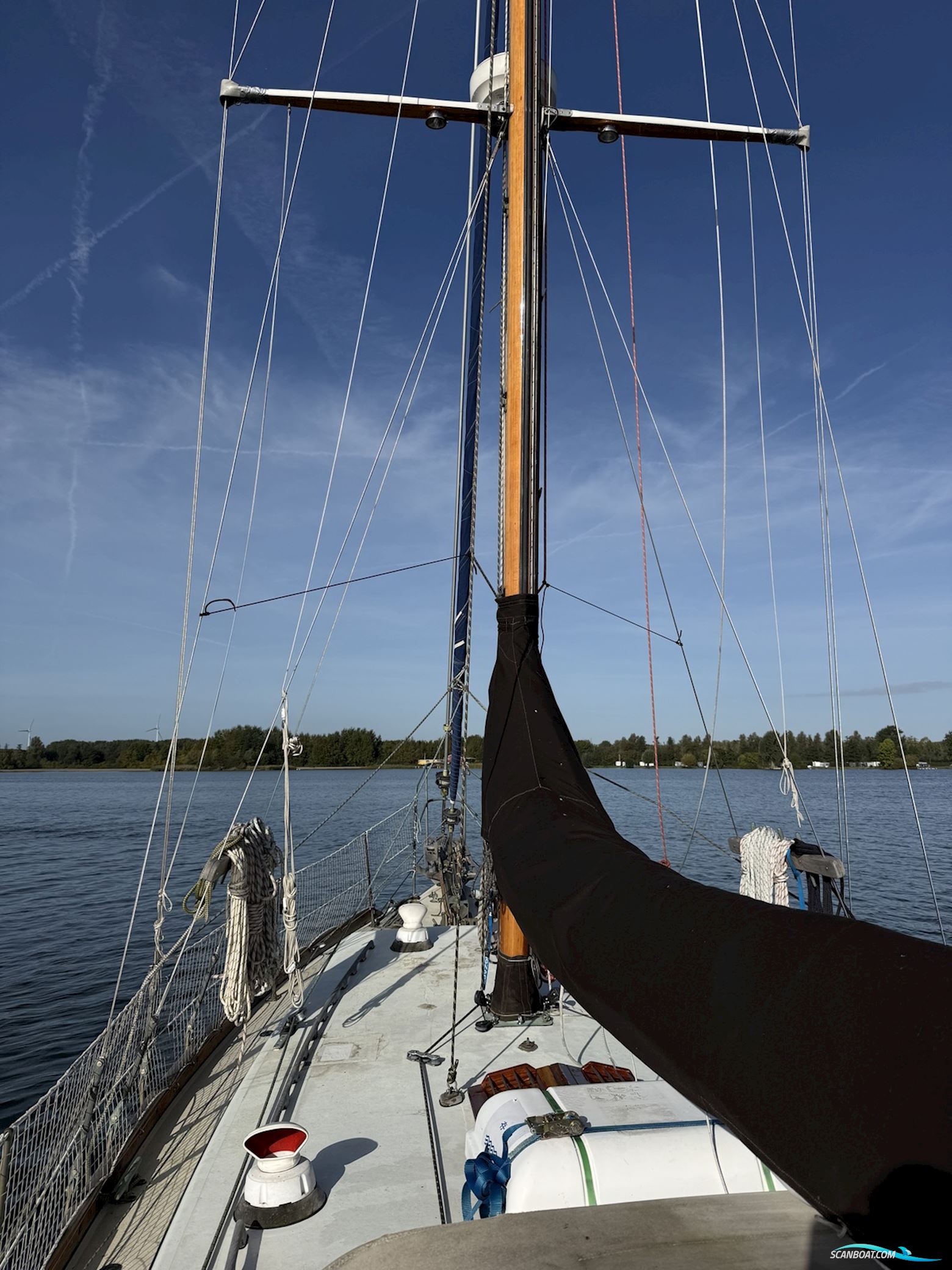 Orca 38