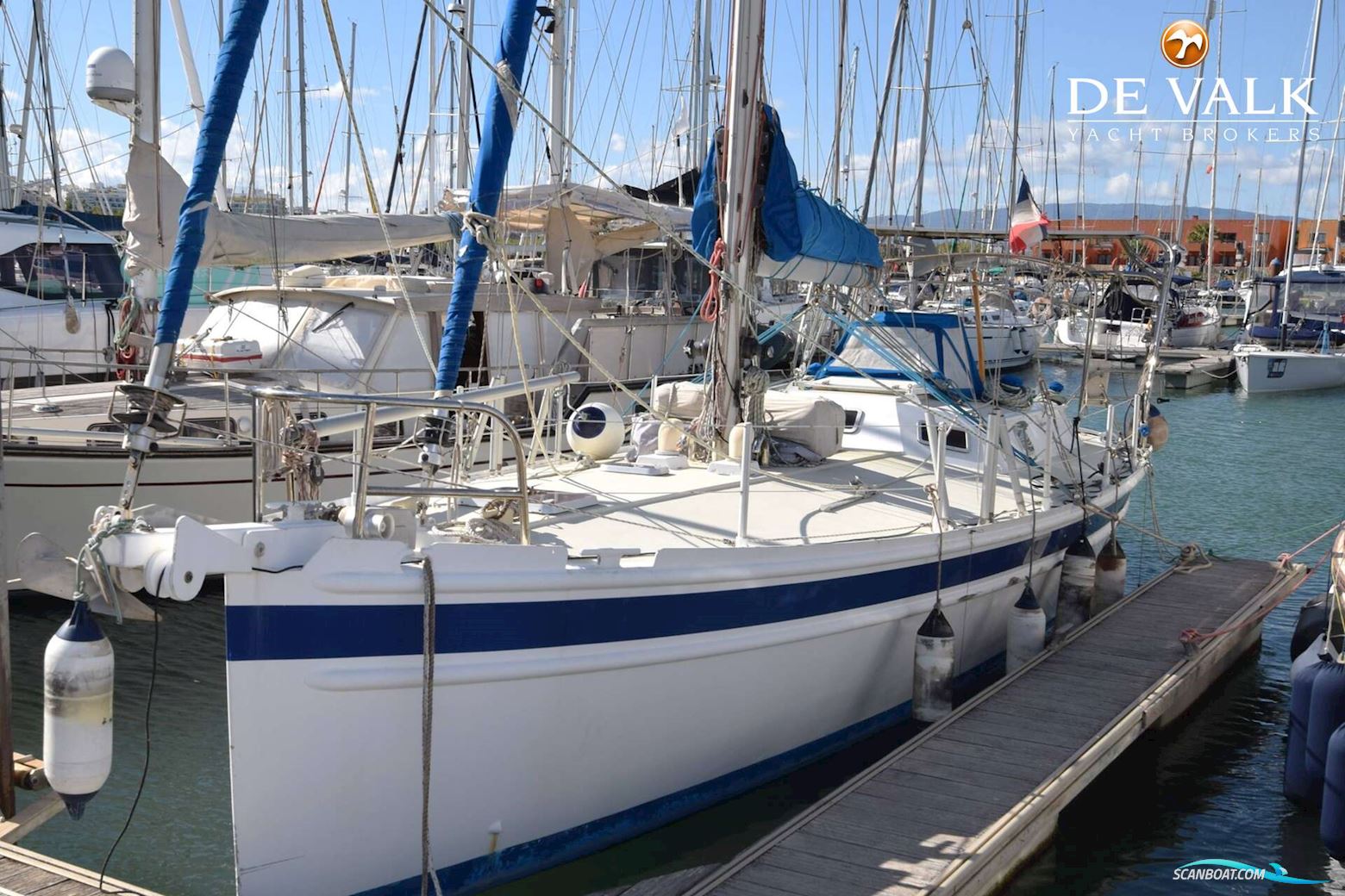 Panoramer 40
