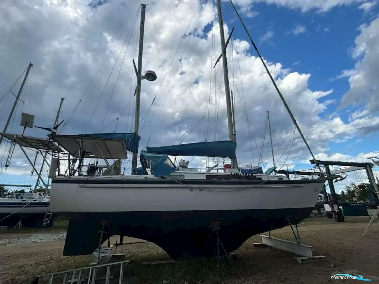 Pearson 365 Ketch