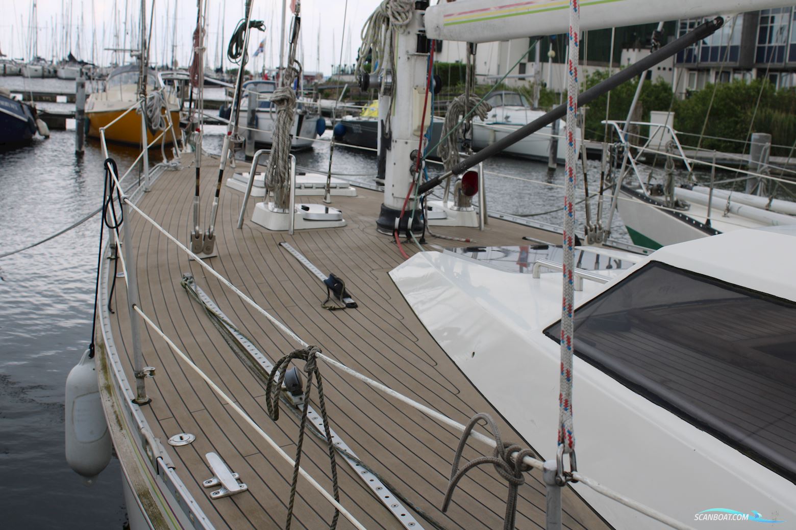 Pieter Beeldsnijder 40