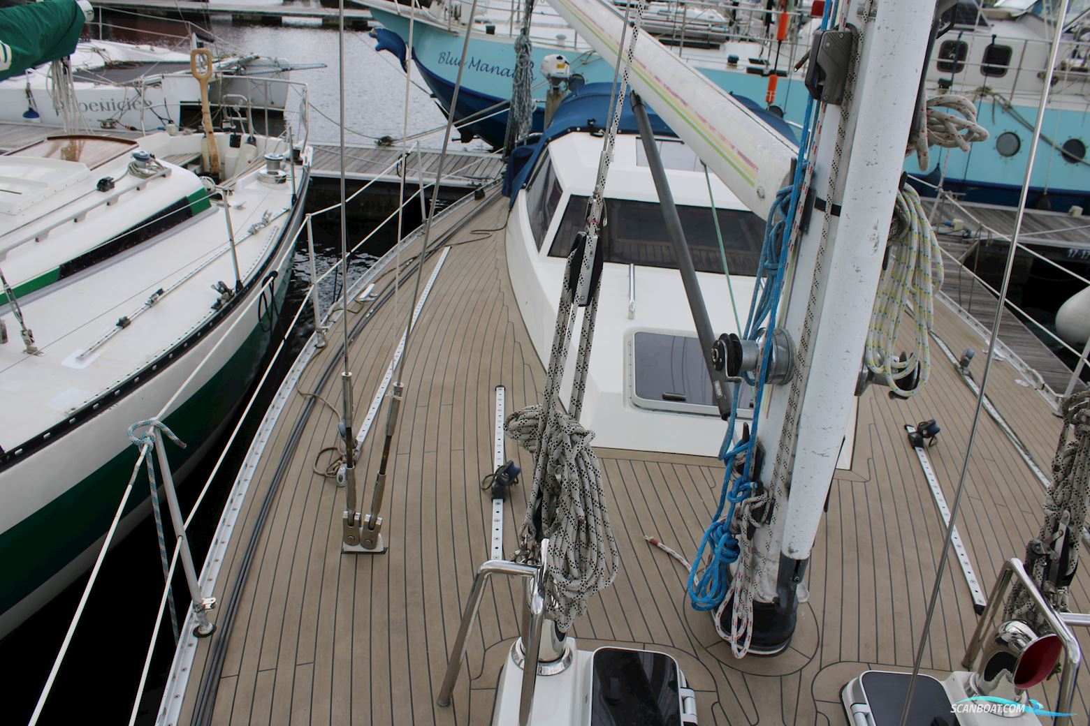 Pieter Beeldsnijder 40