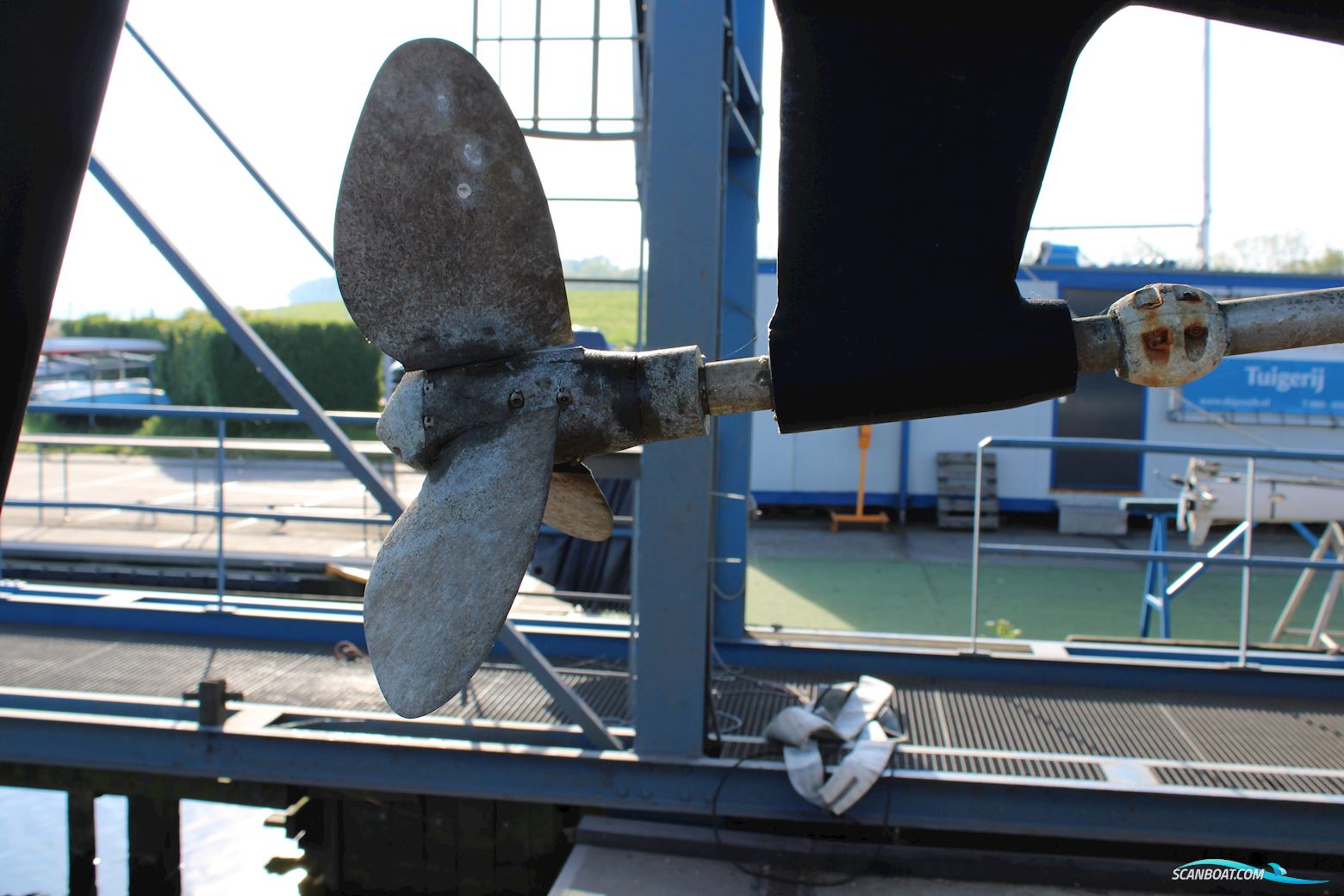 Pieter Beeldsnijder 40