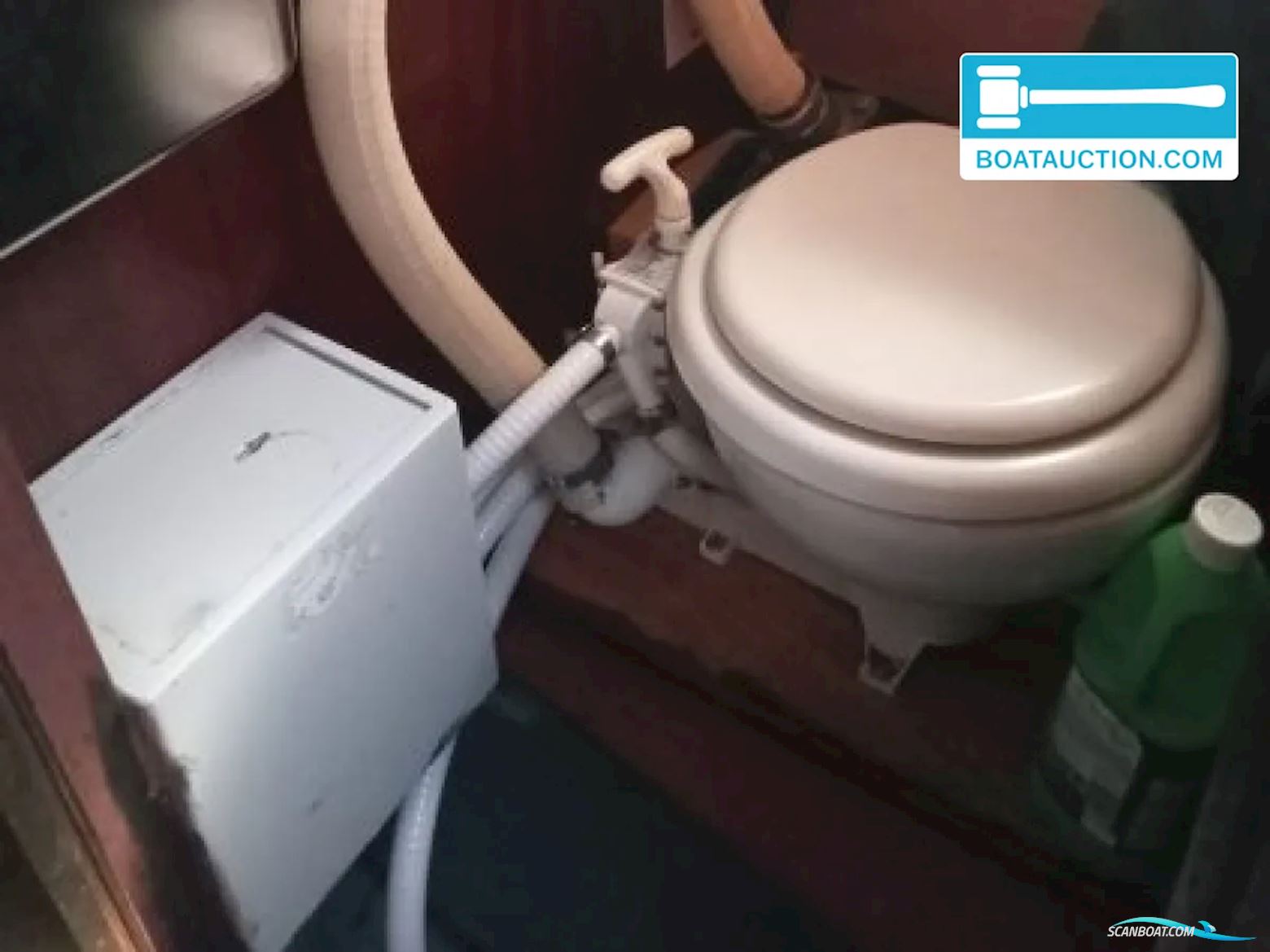 Pieter Beeldsnijder Gouwzee