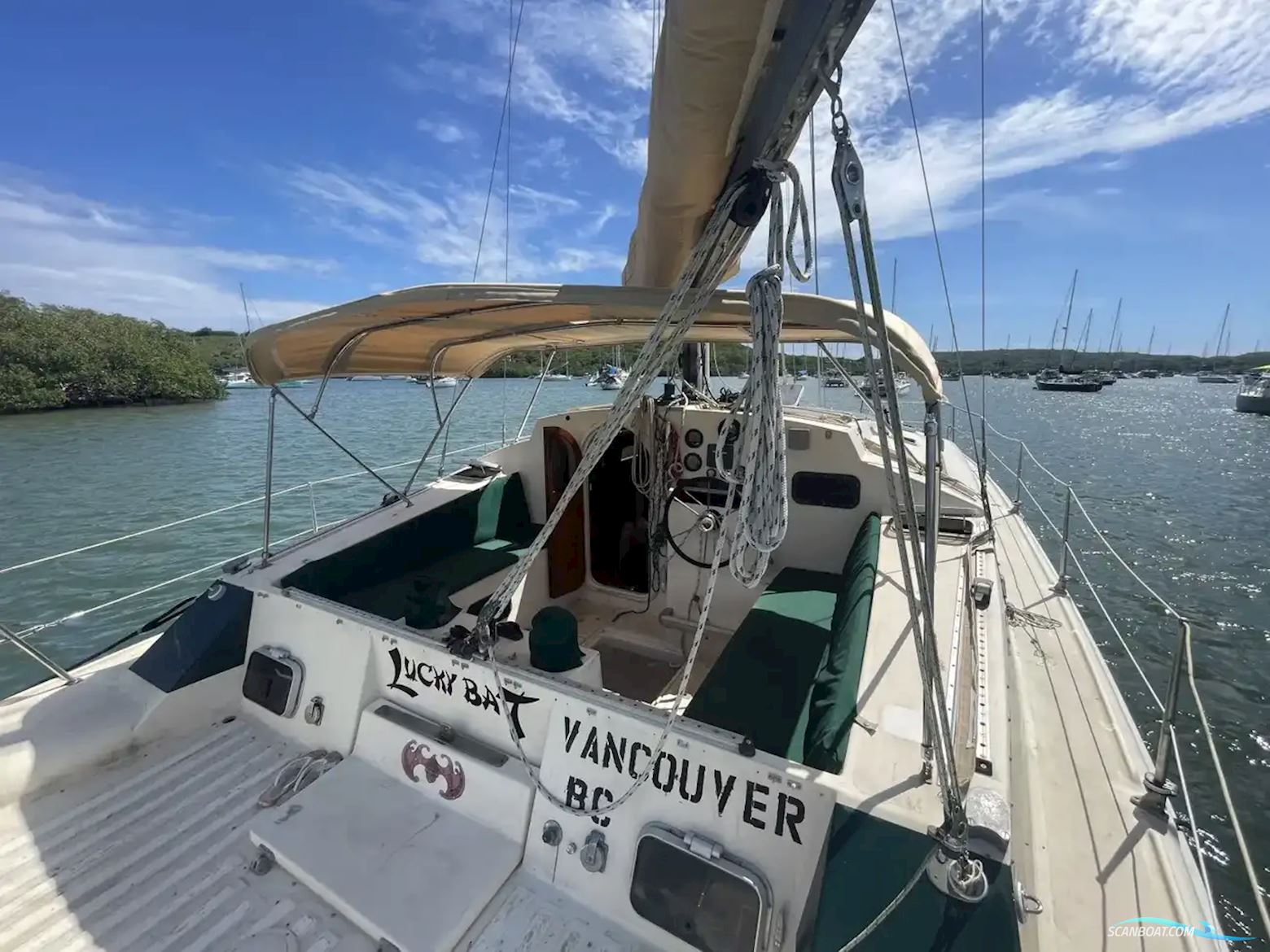 Prout Snowgoose 37