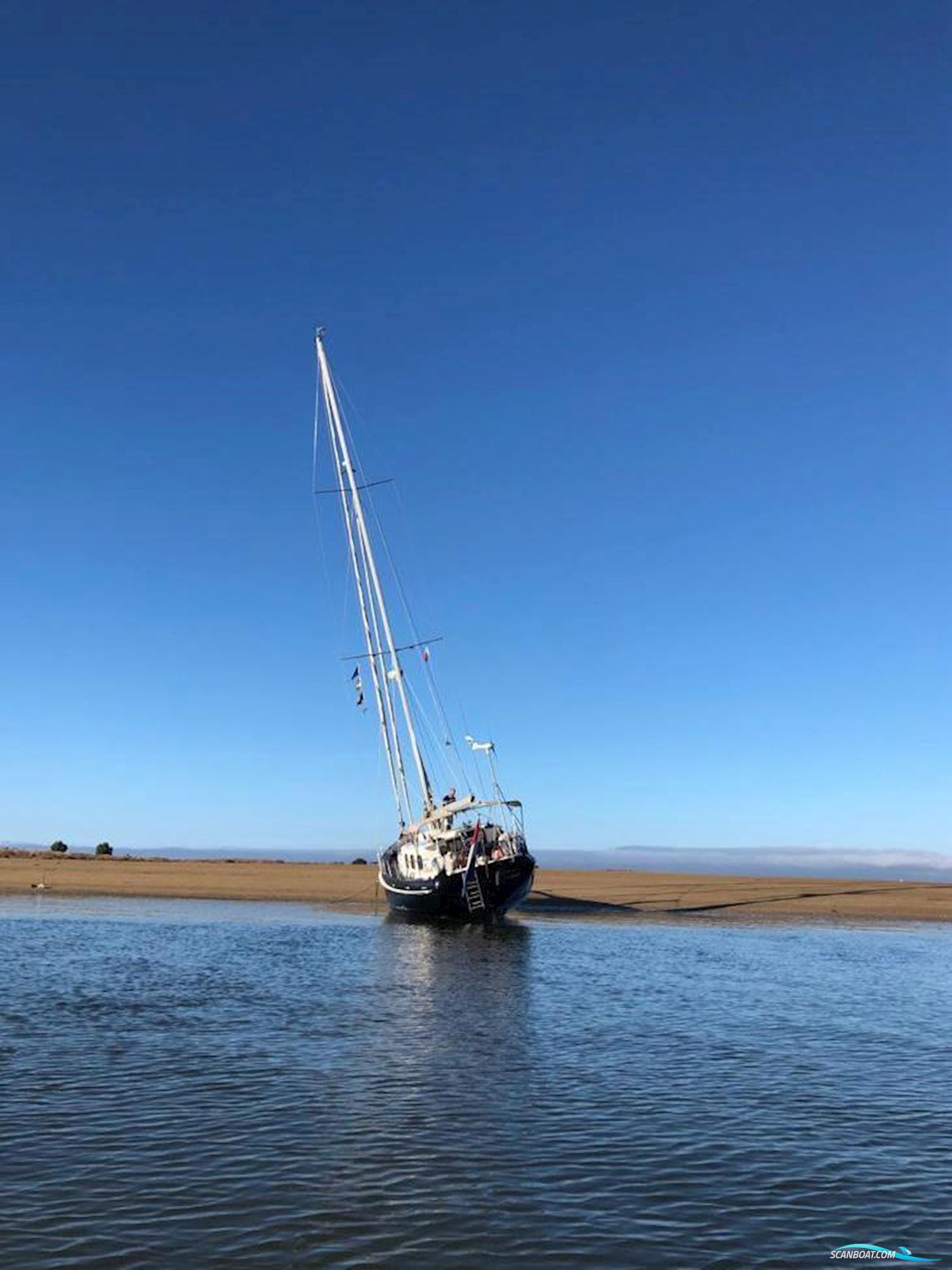 Puffin 42