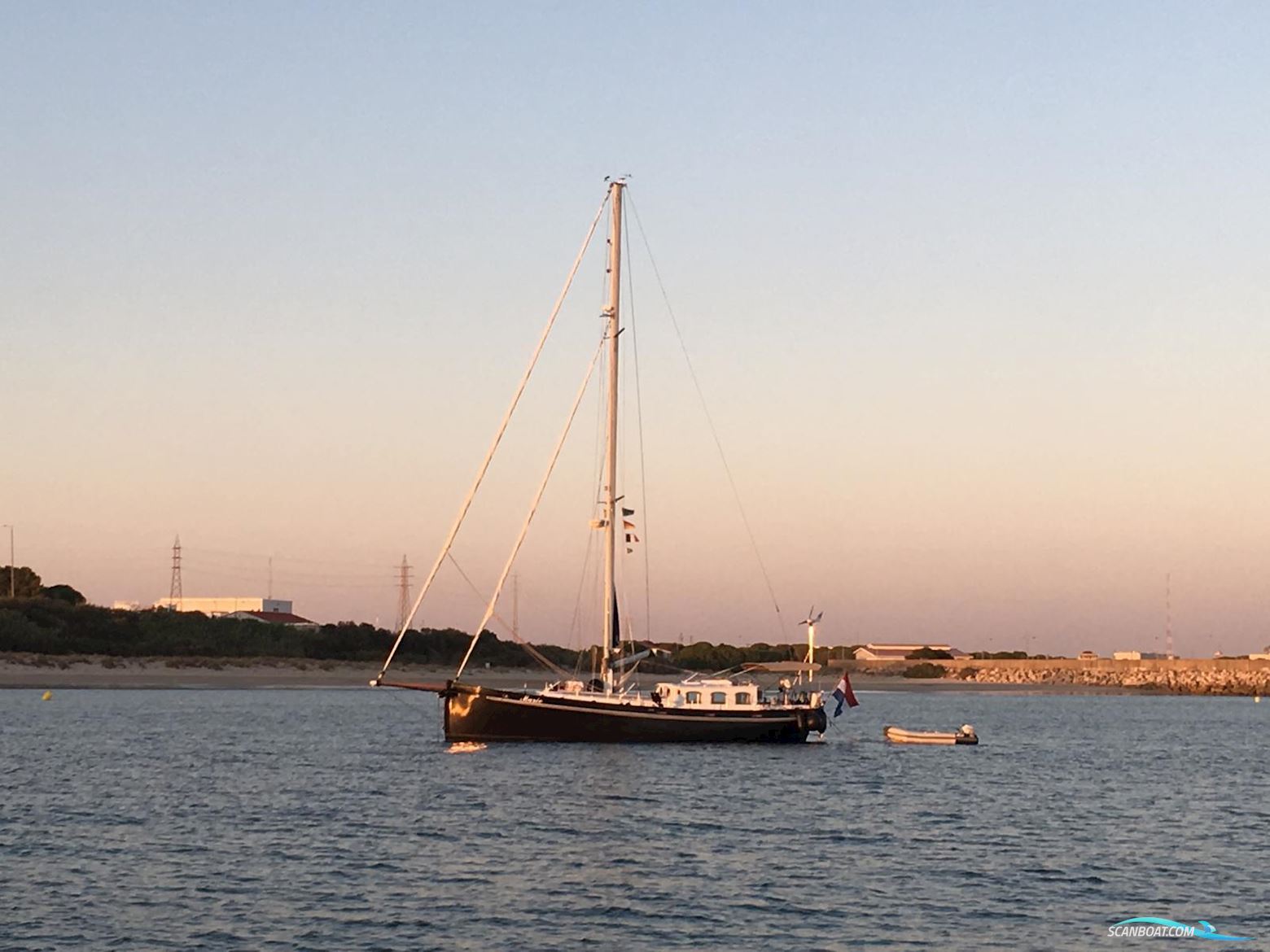 Puffin 42