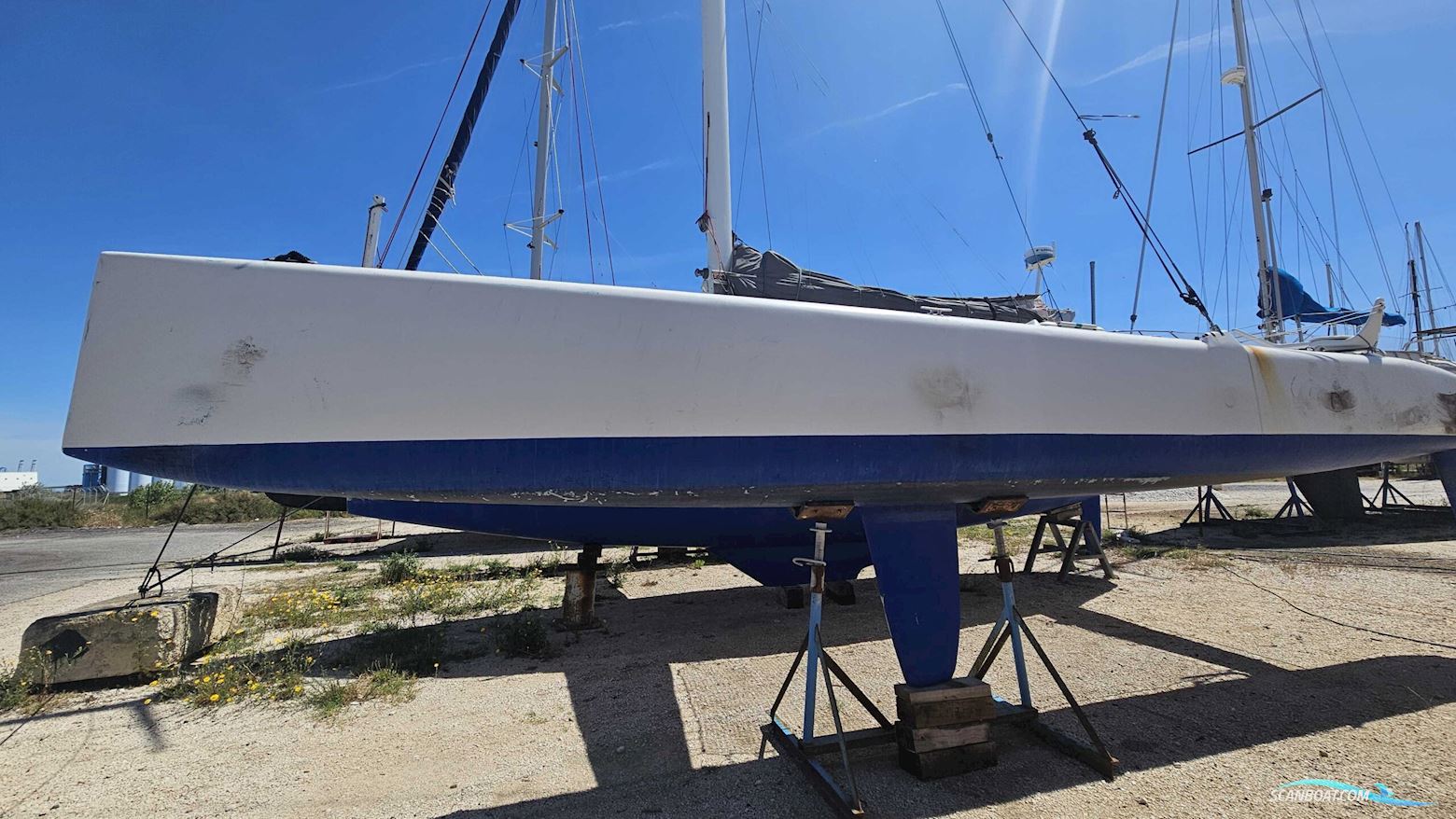 Pulsar 33