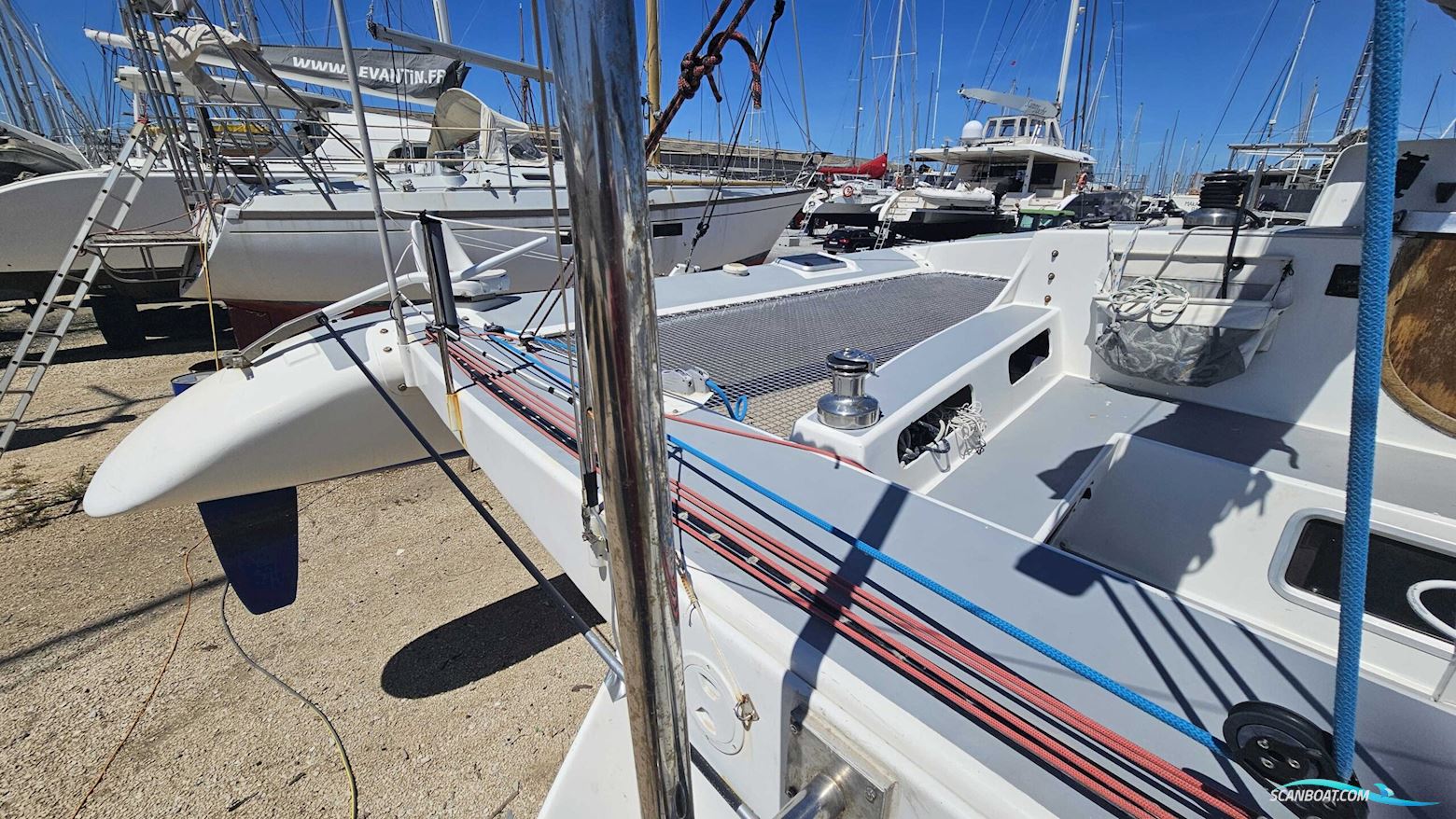 Pulsar 33