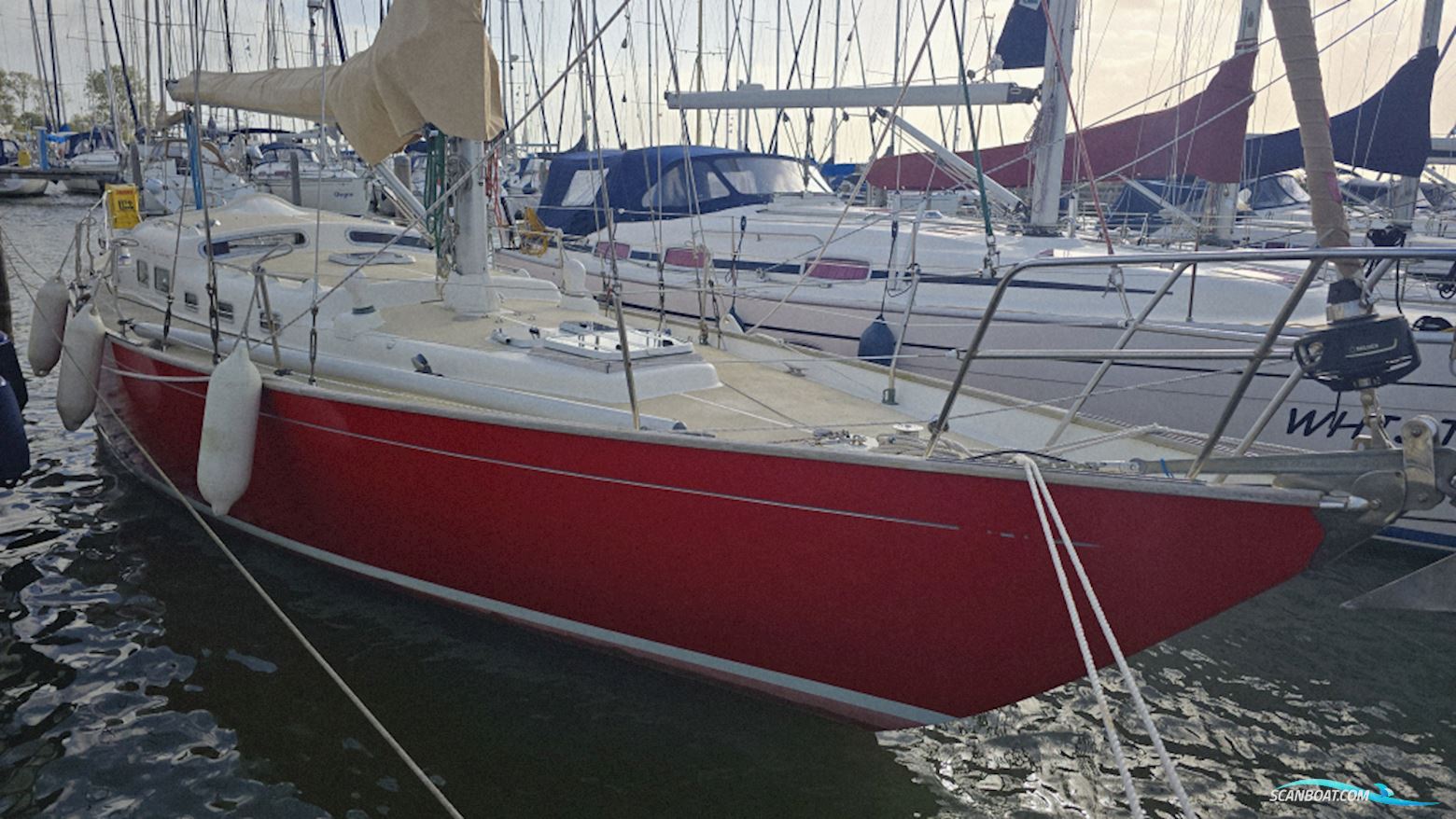 Rebel 41