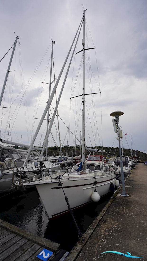 Regina 38