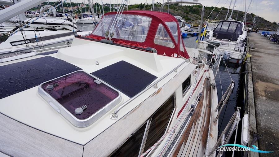 Regina 38