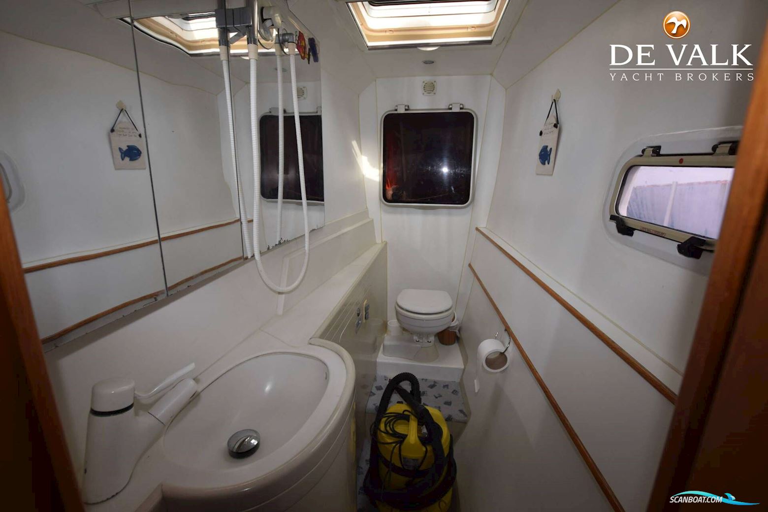 Robertson & Caine One off