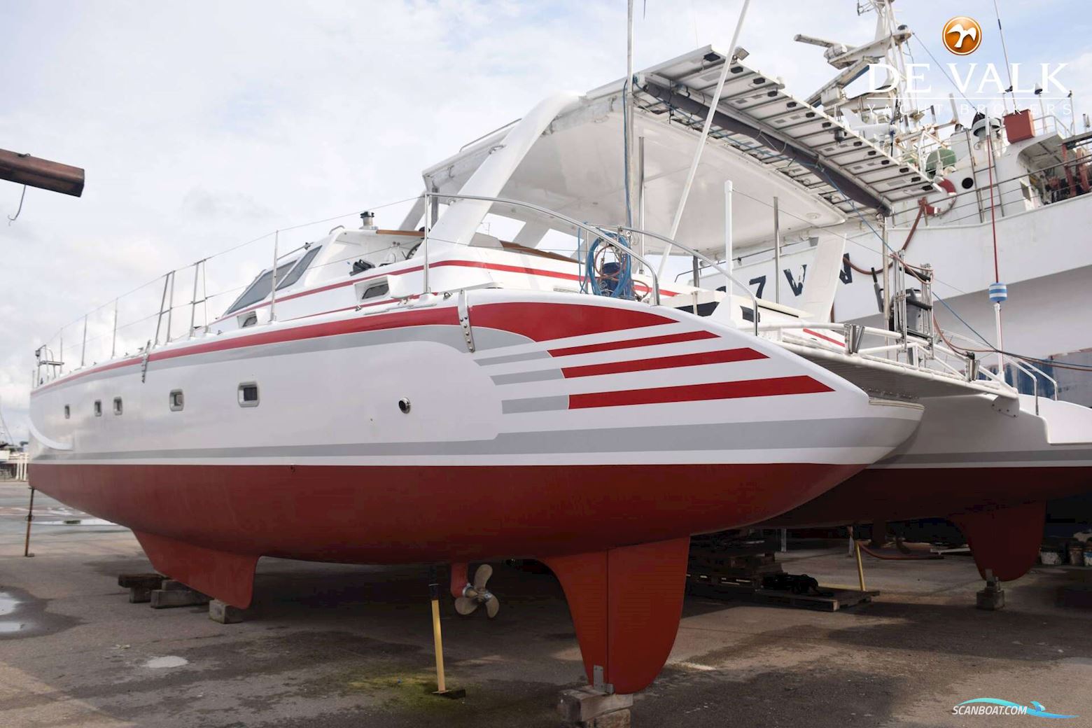 Robertson & Caine One off