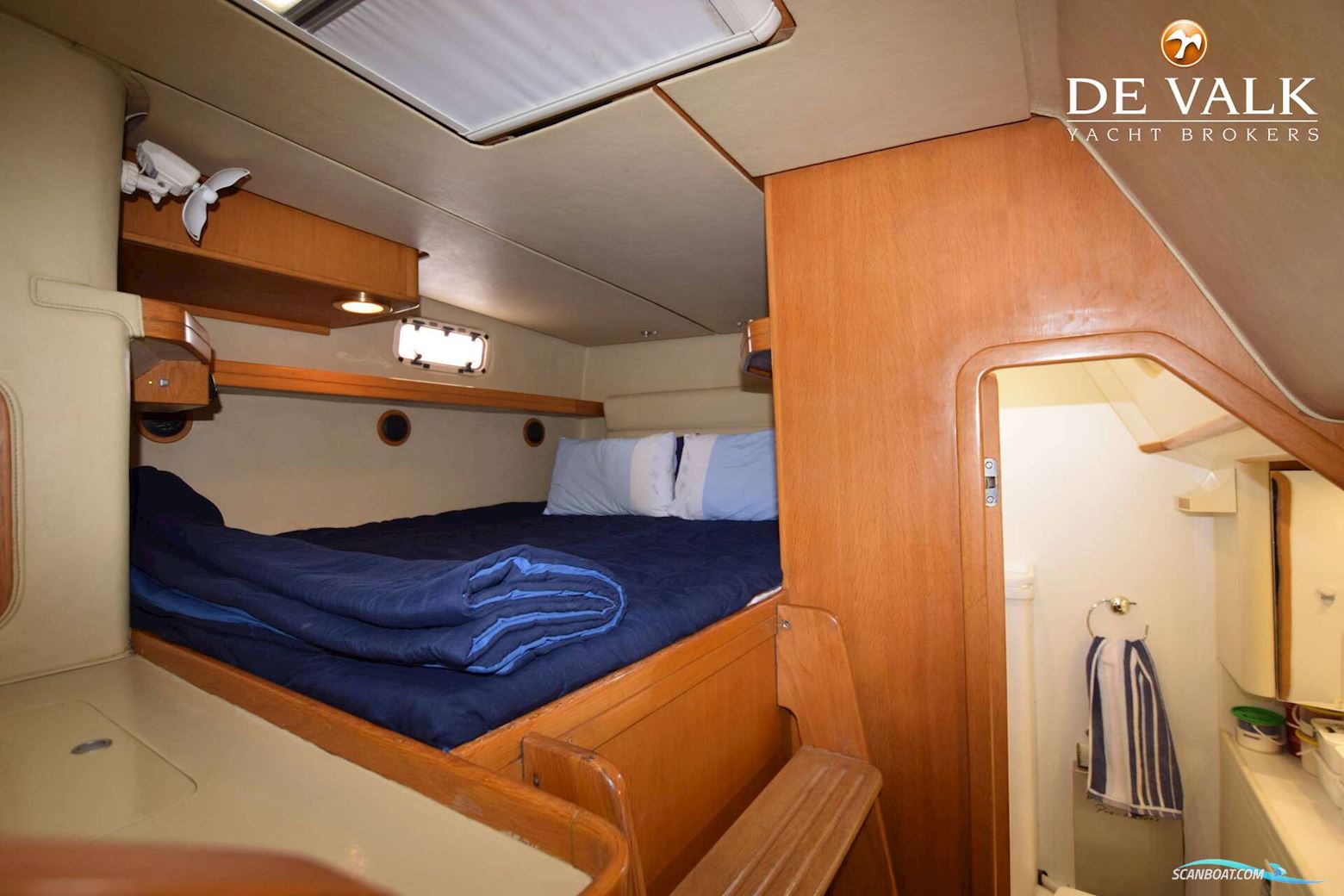 Robertson & Caine One off