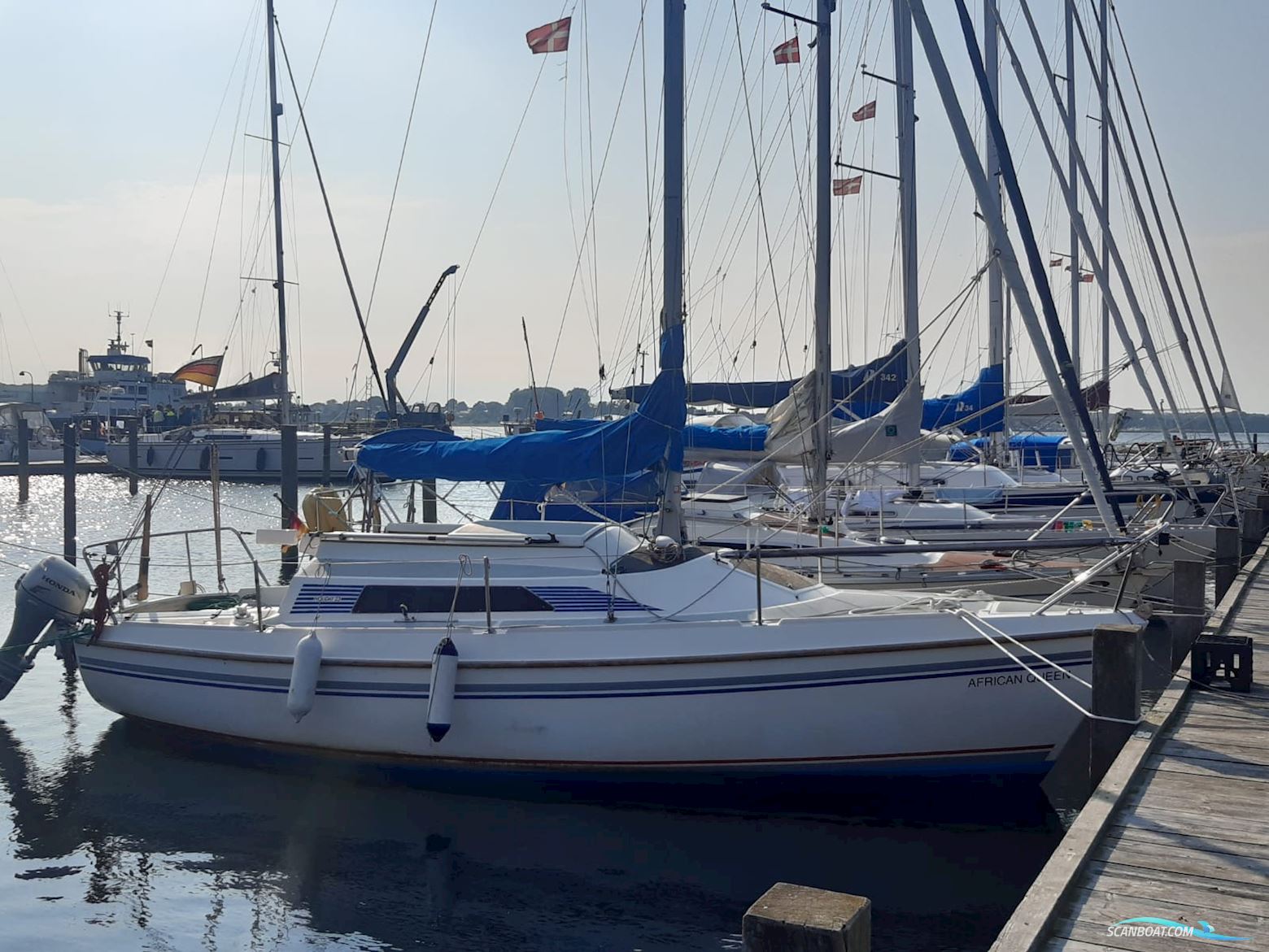 Robertson&Caine Holiday 23 Sailingboat 1990, with Honda BF8 engine, Germany
