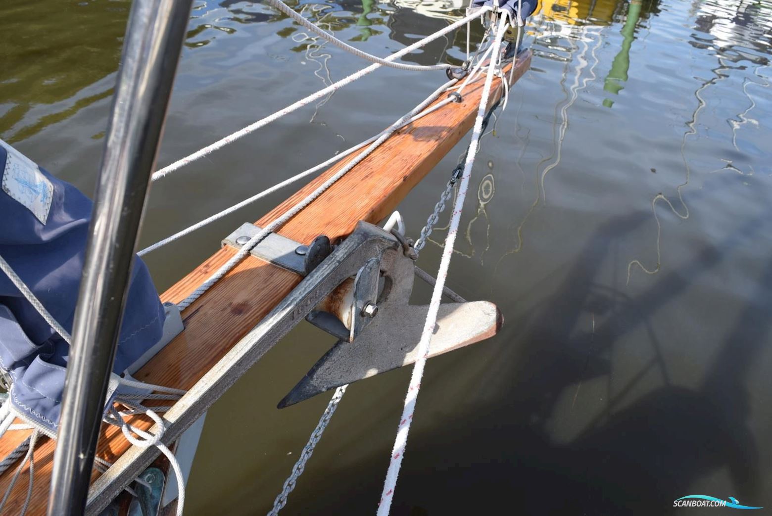 Rossiter Pintail 27