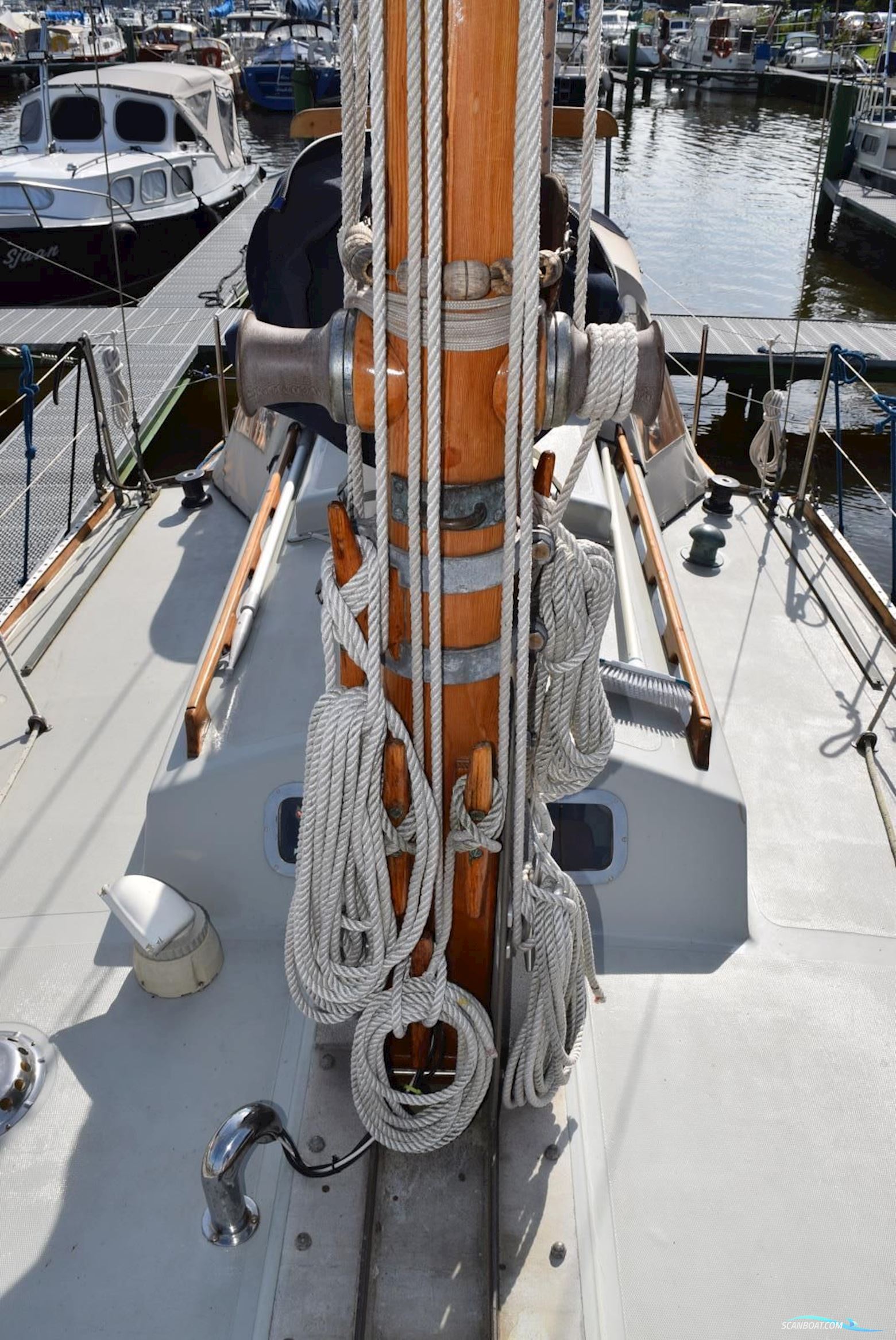 Rossiter Pintail 27